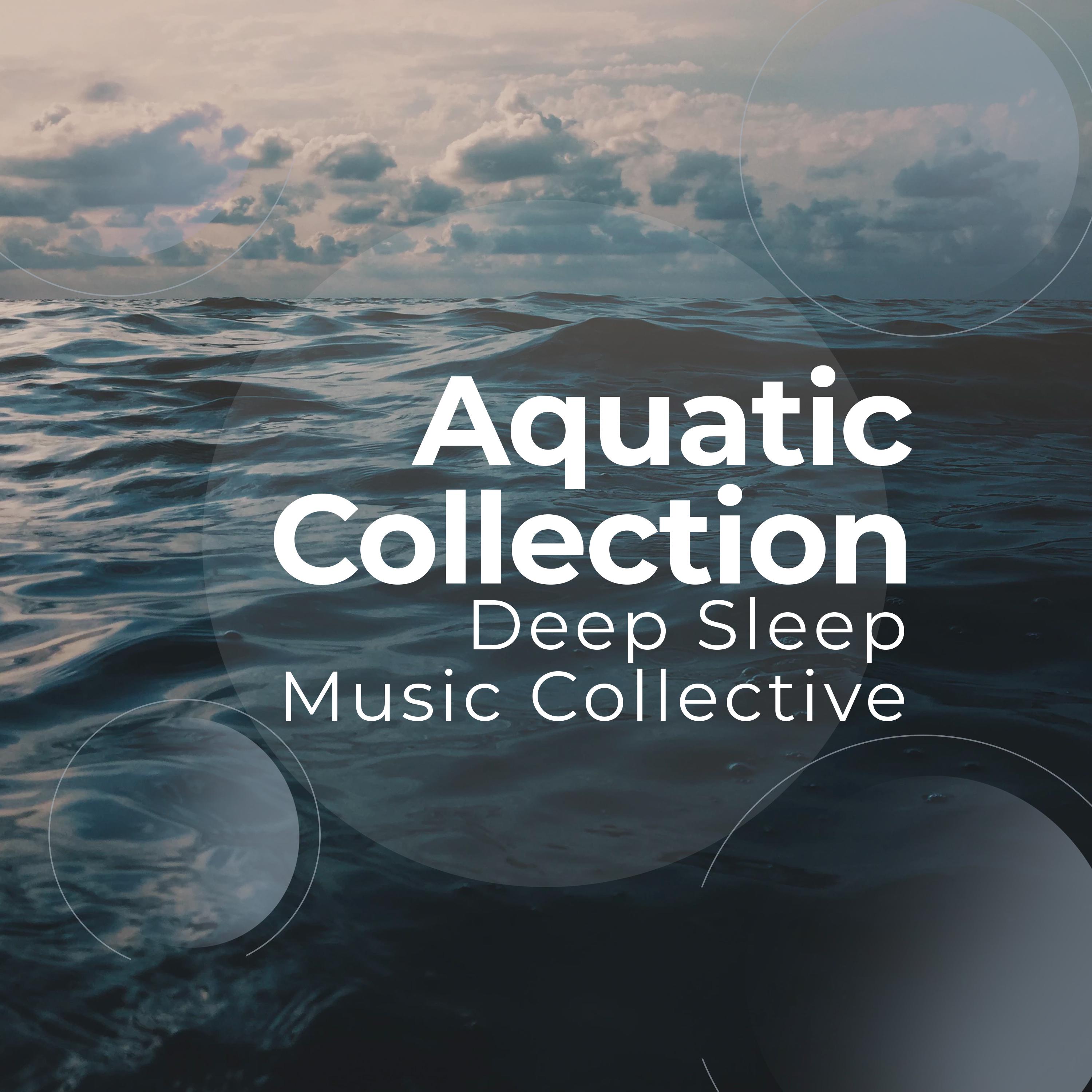 Aquatic Collection