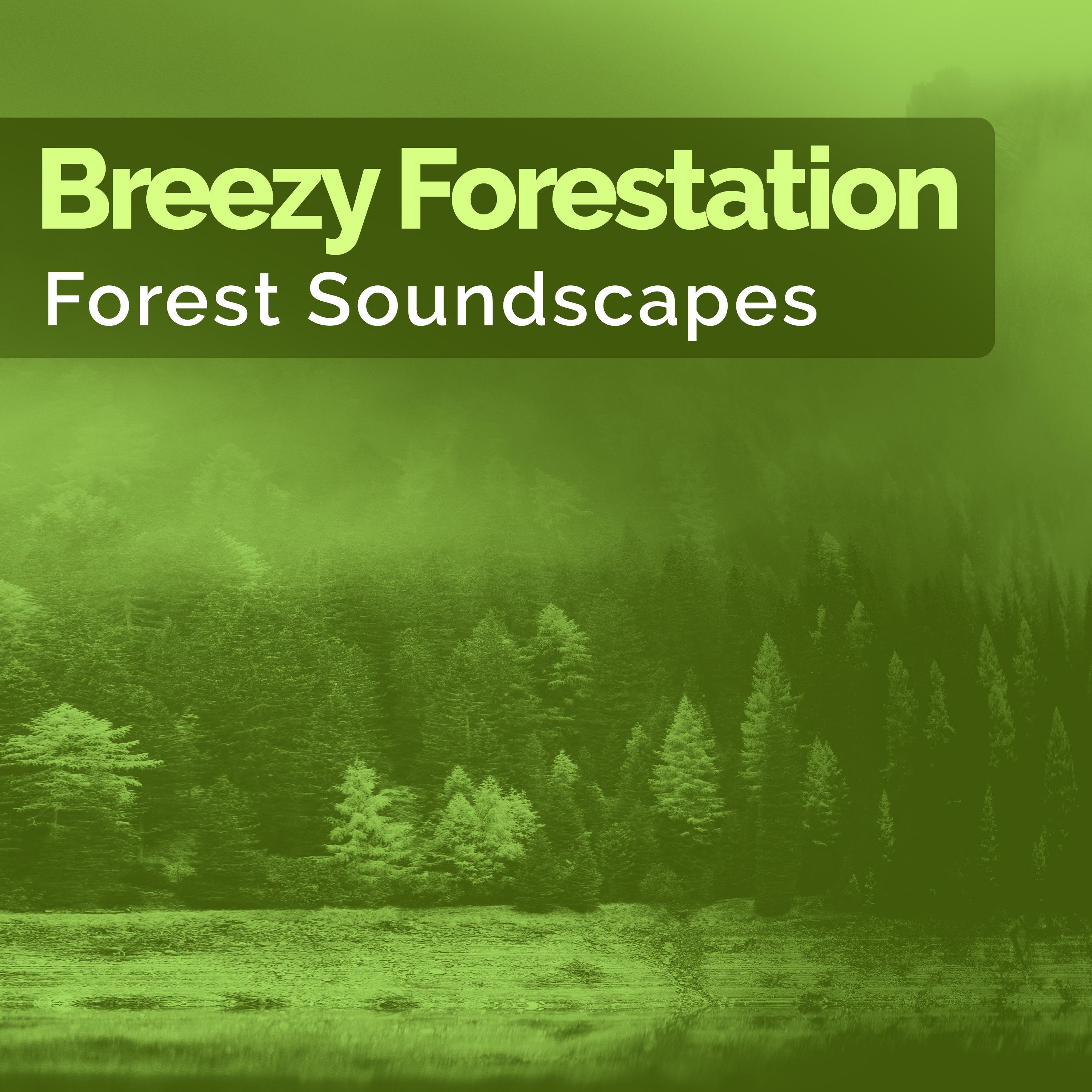 Breezy Forestation