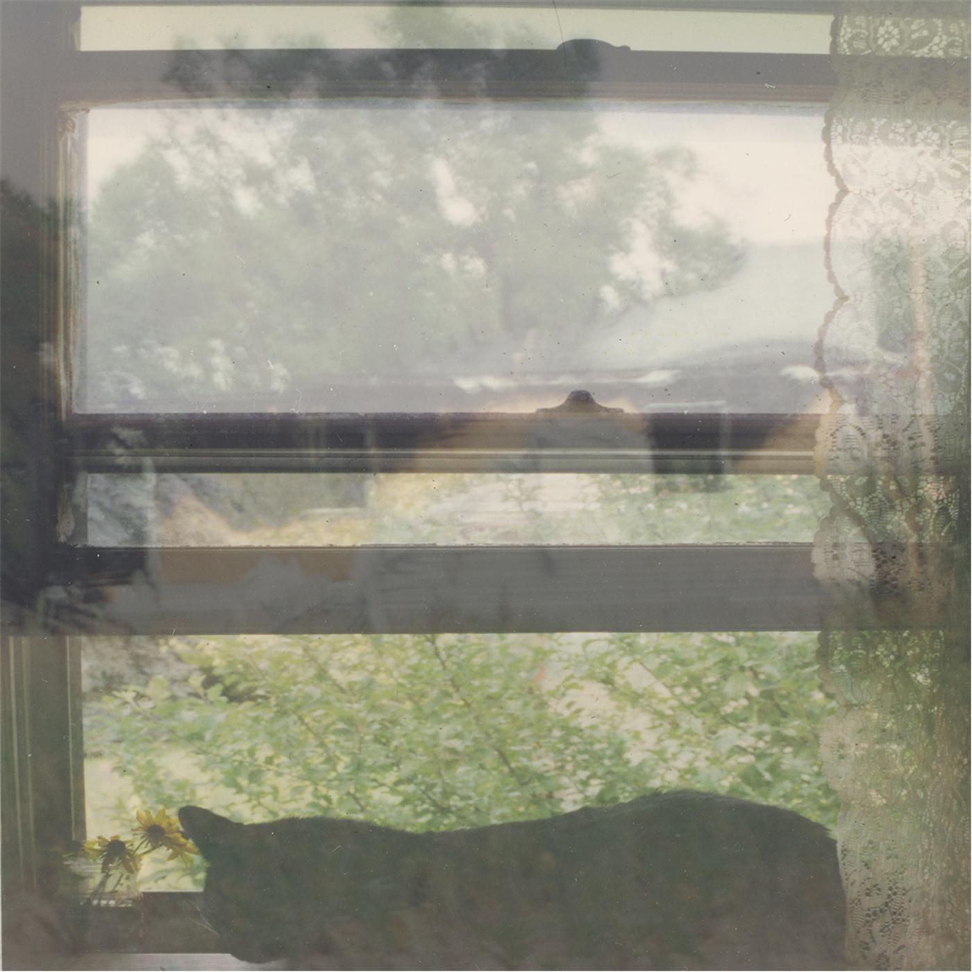 Sitting in the Rocking Chair Reading a Good Book