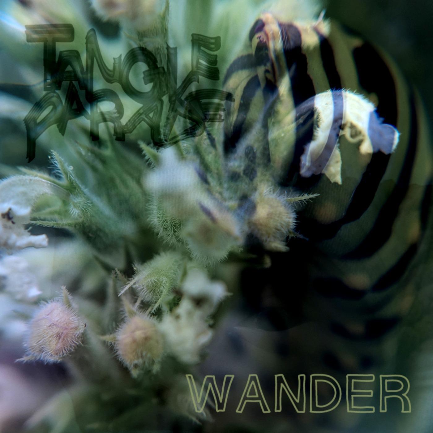 Wander