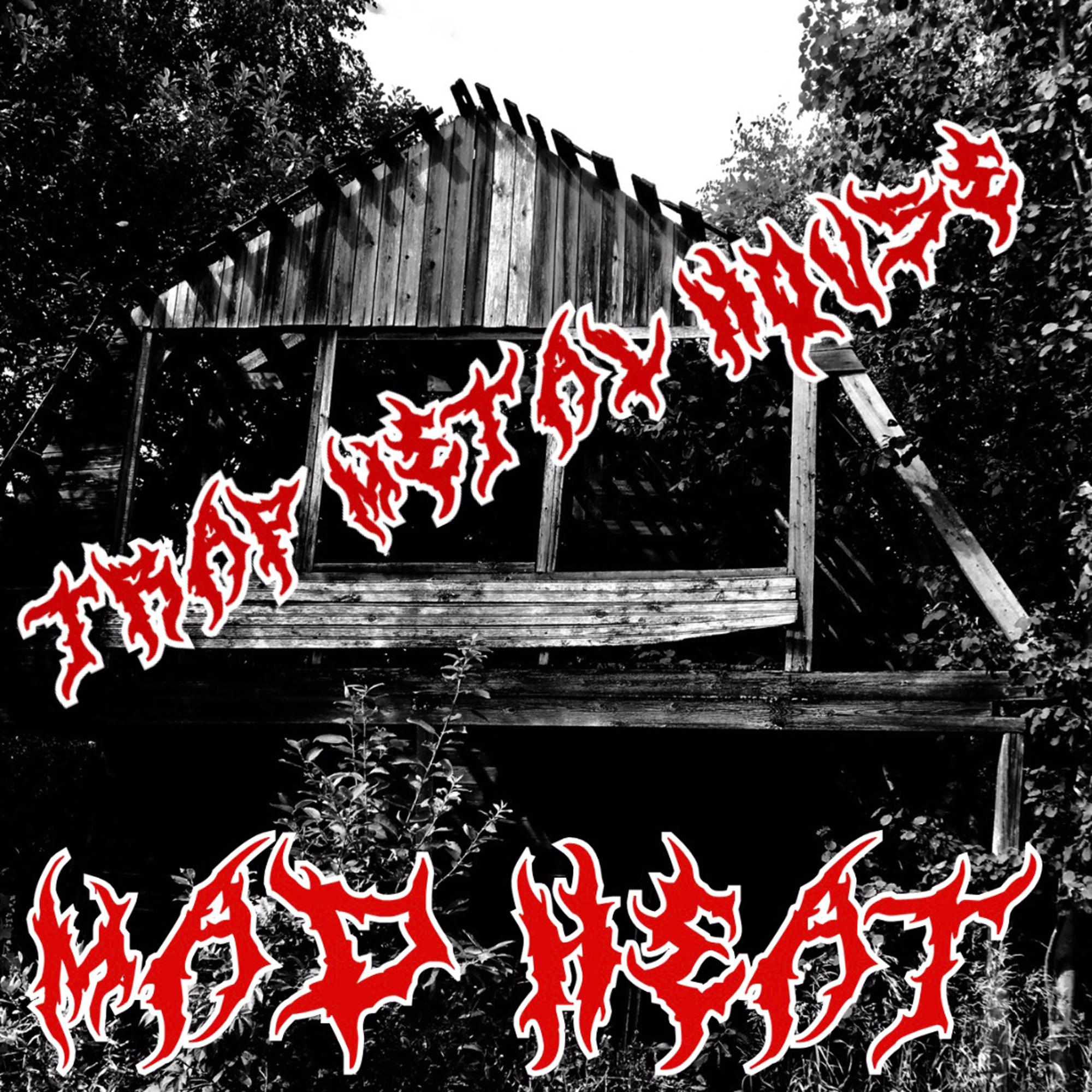 Trap Metal House