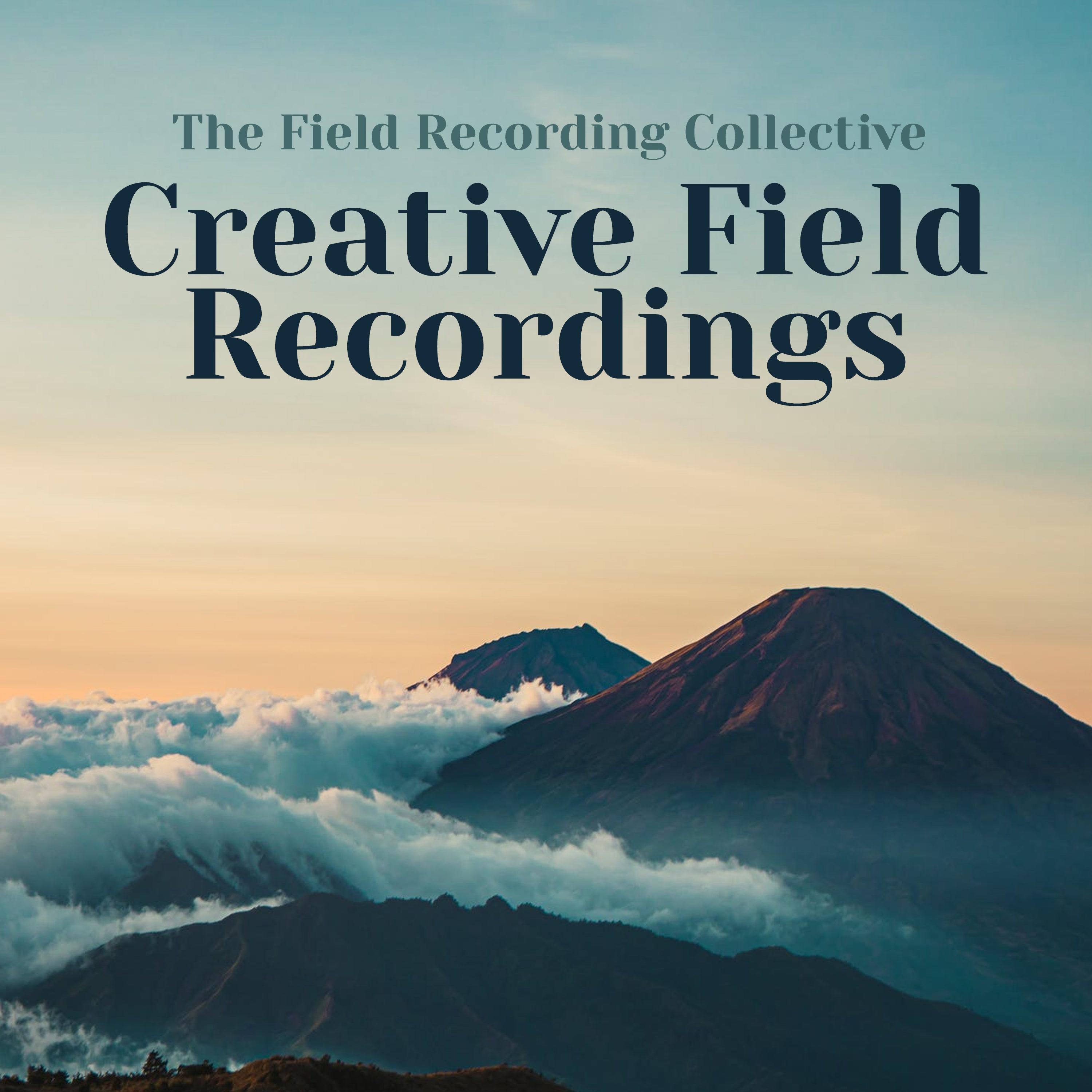 Creative Field Recordings