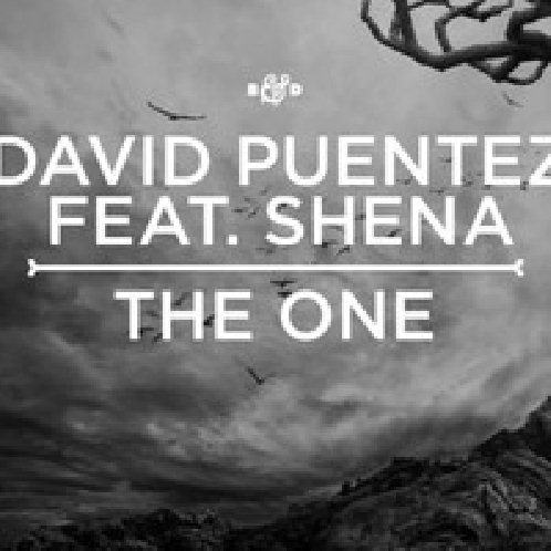 The One feat. Shena (Vicetone Remix)