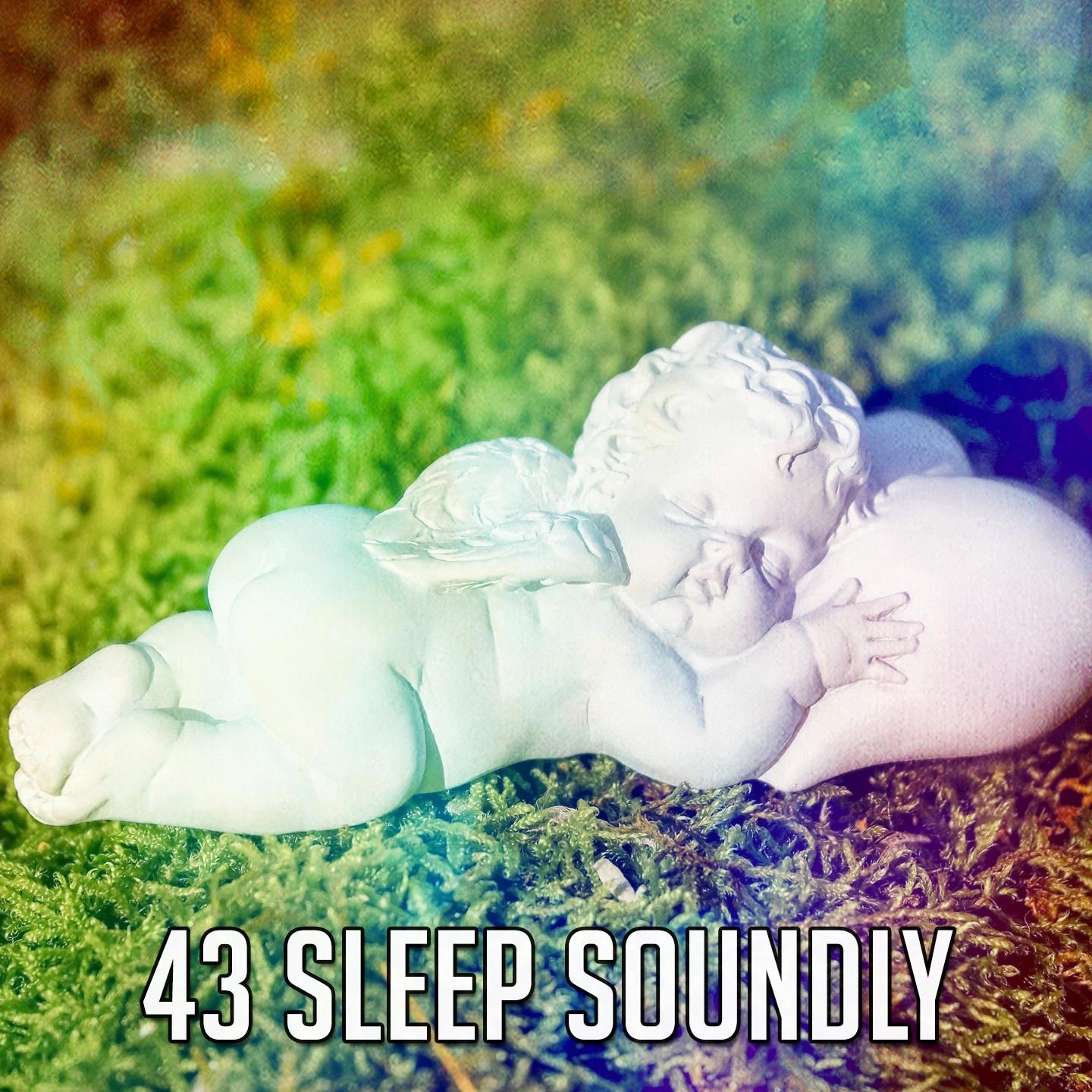 43 Sleep Soundly