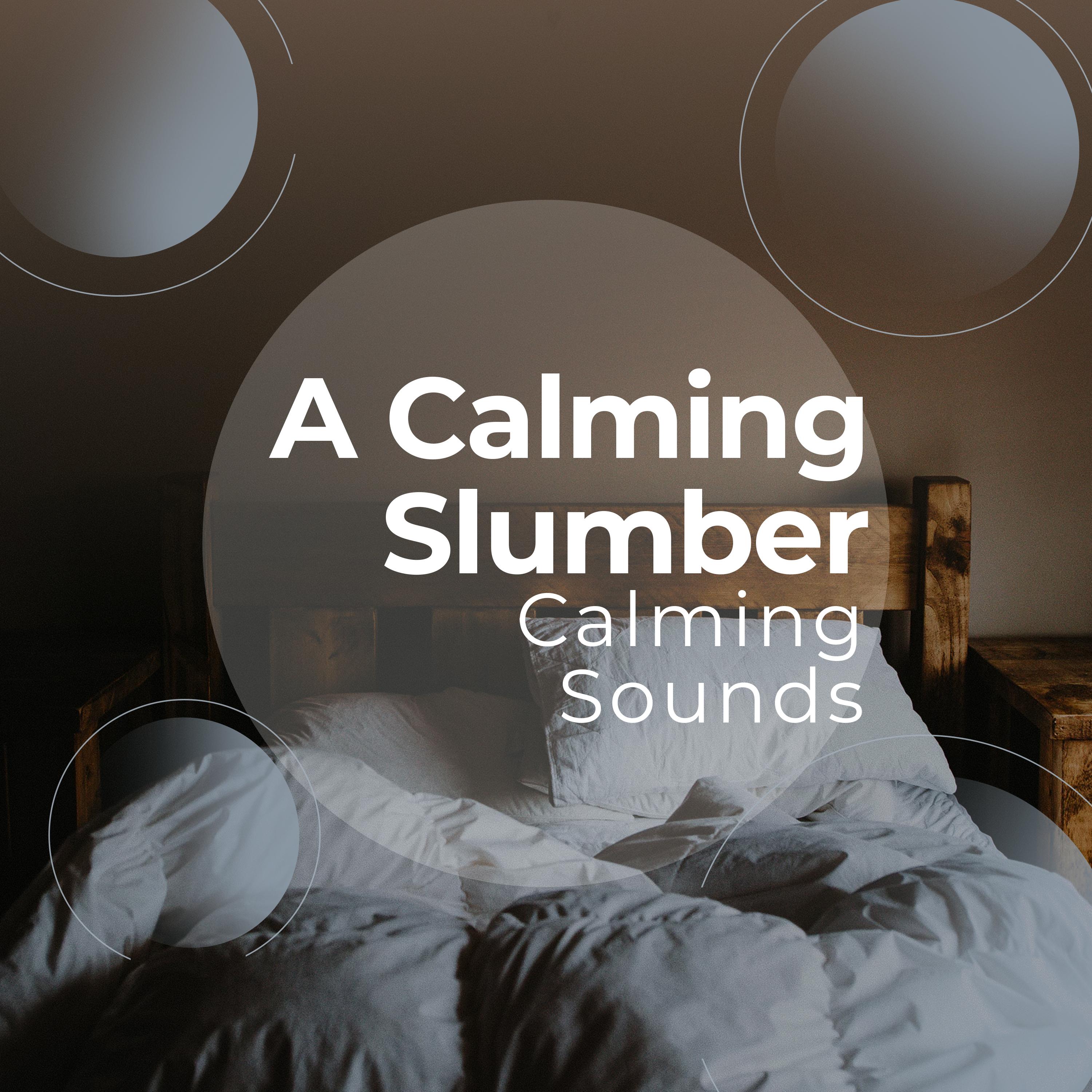 A Calming Slumber