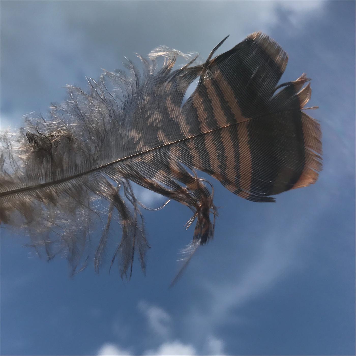 Riding with the Wind