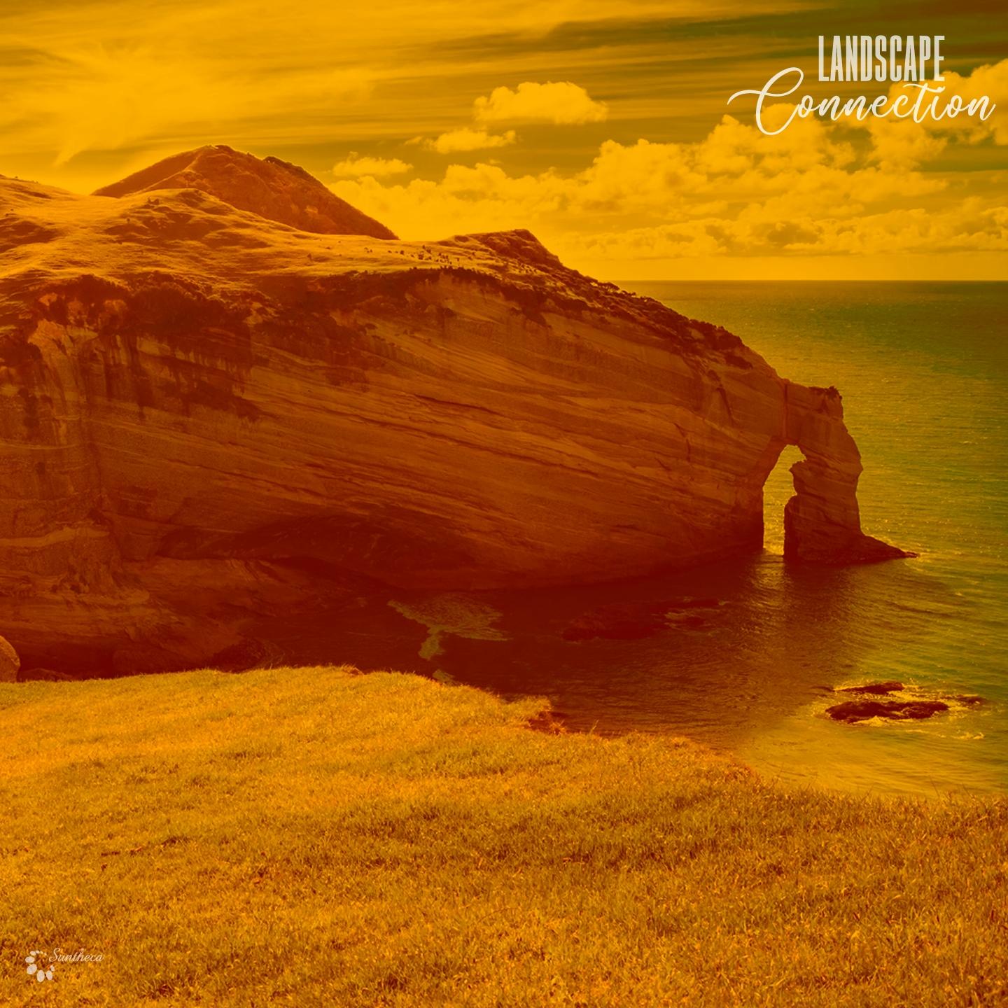 Landscape Connection