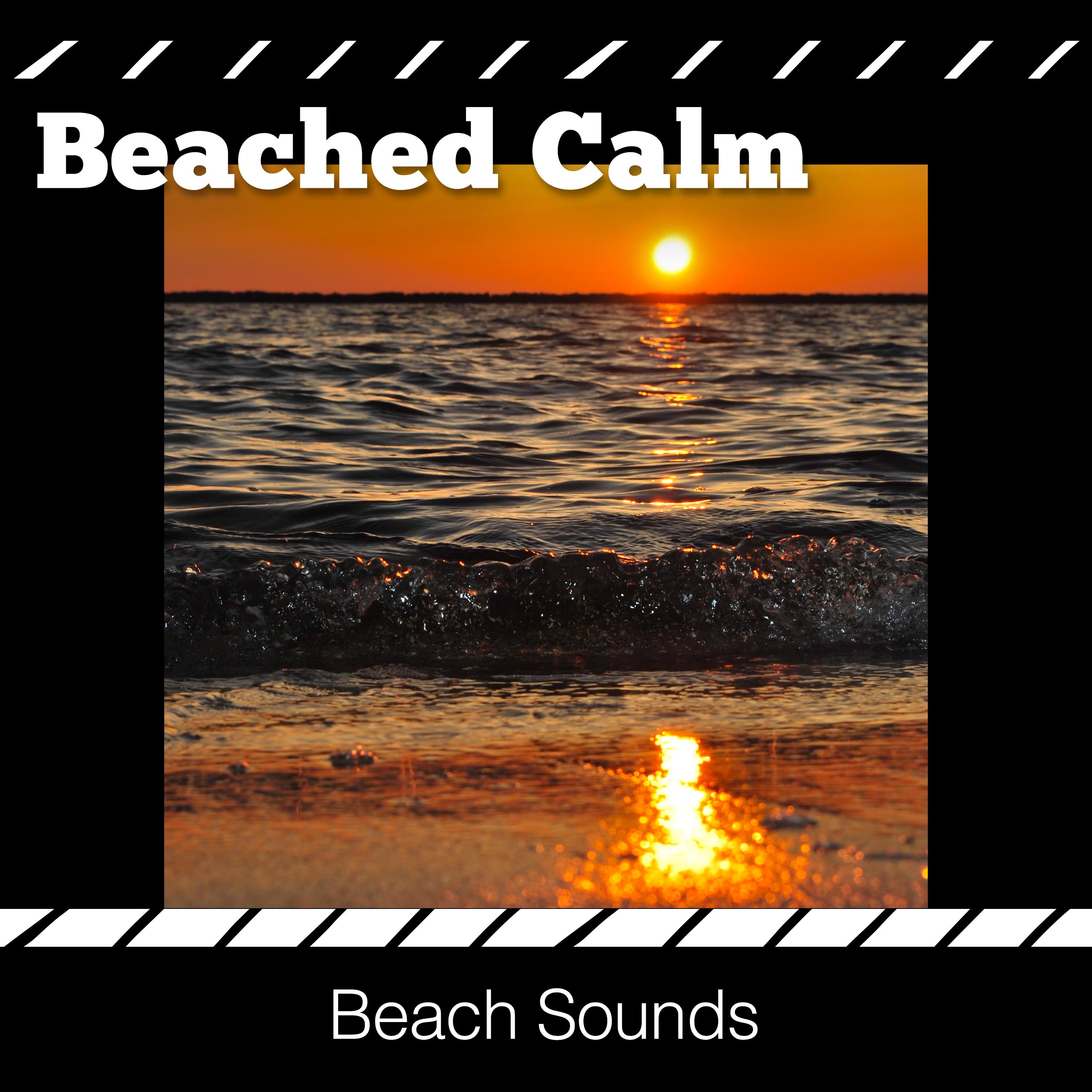 Beached Calm
