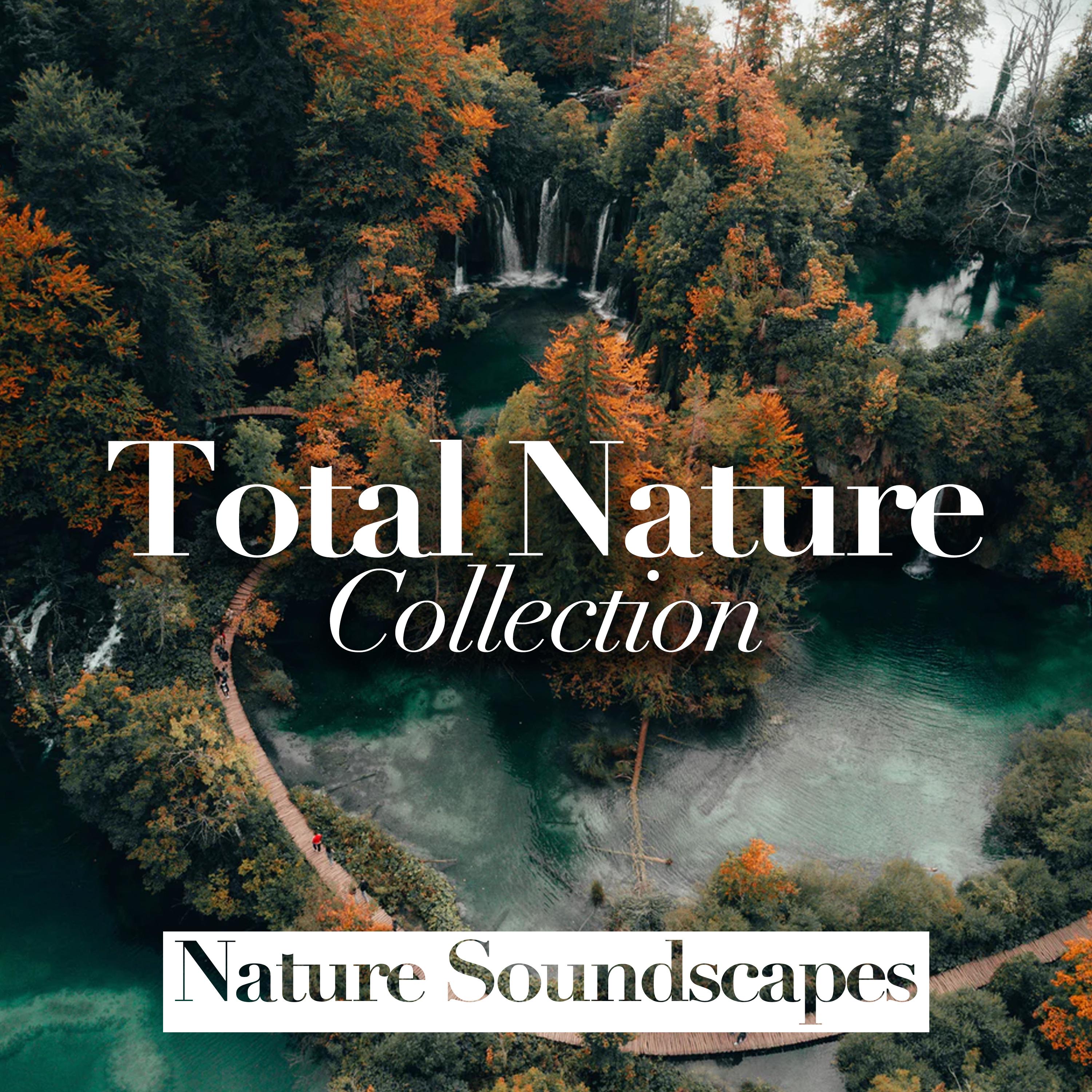 Total Nature Collection