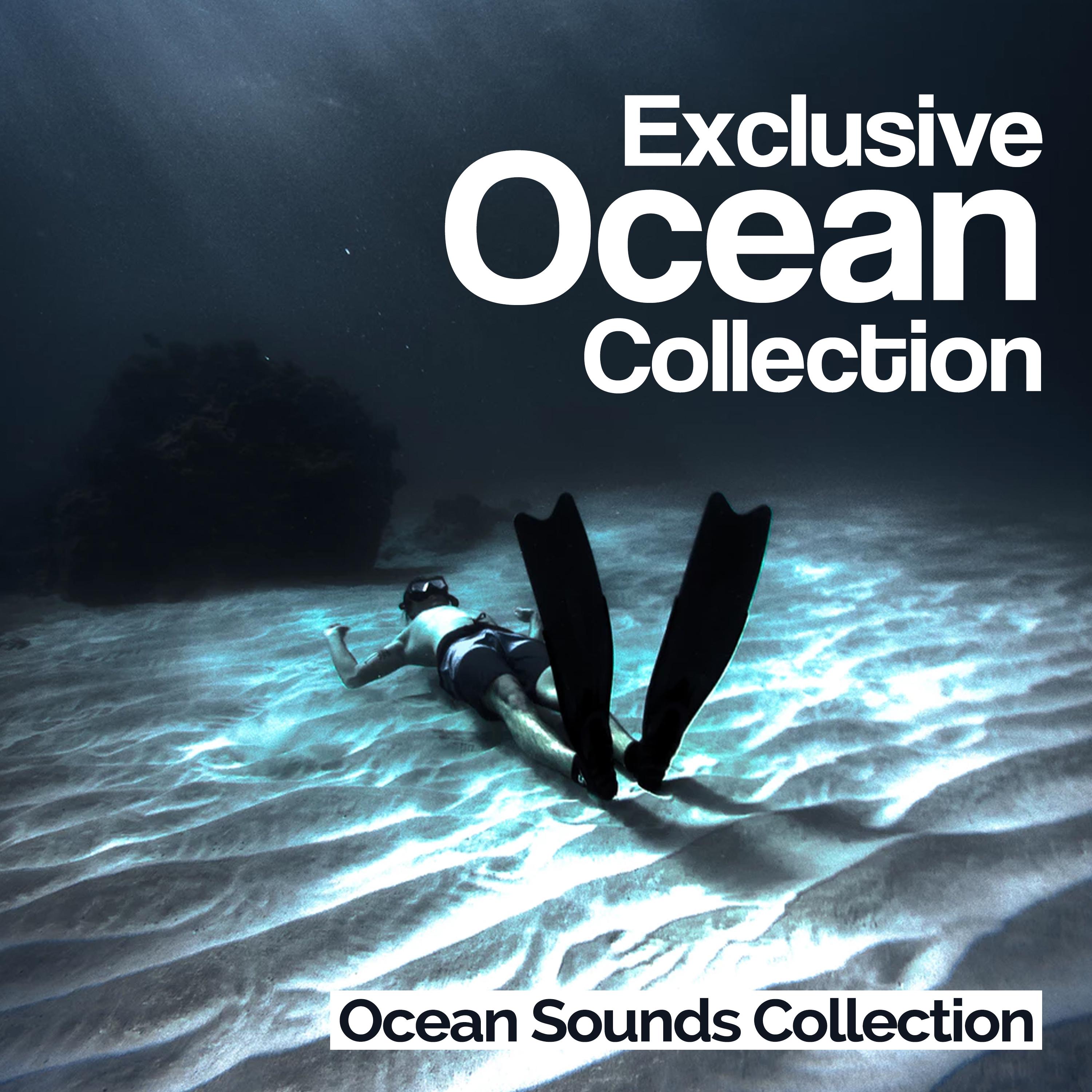 Exclusive Ocean Collection