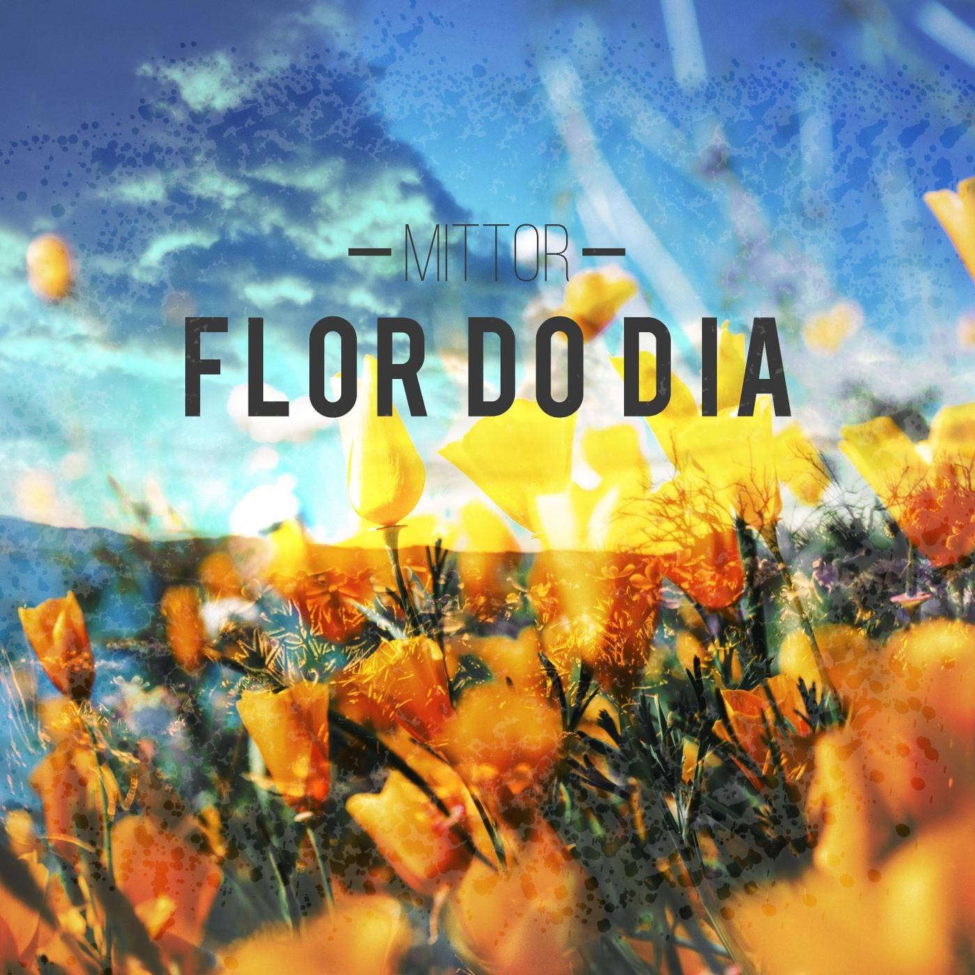 Flor do Dia