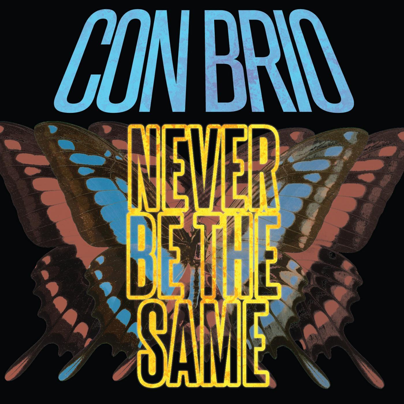 Never Be the Same