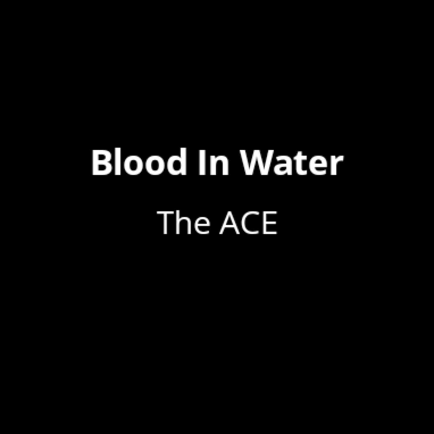 Blood In Water