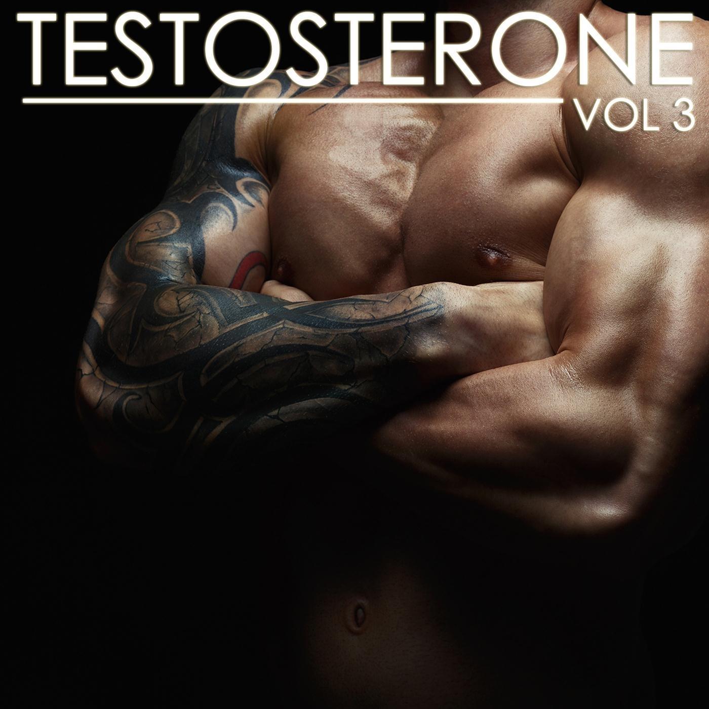 Testosterone, Vol. 3