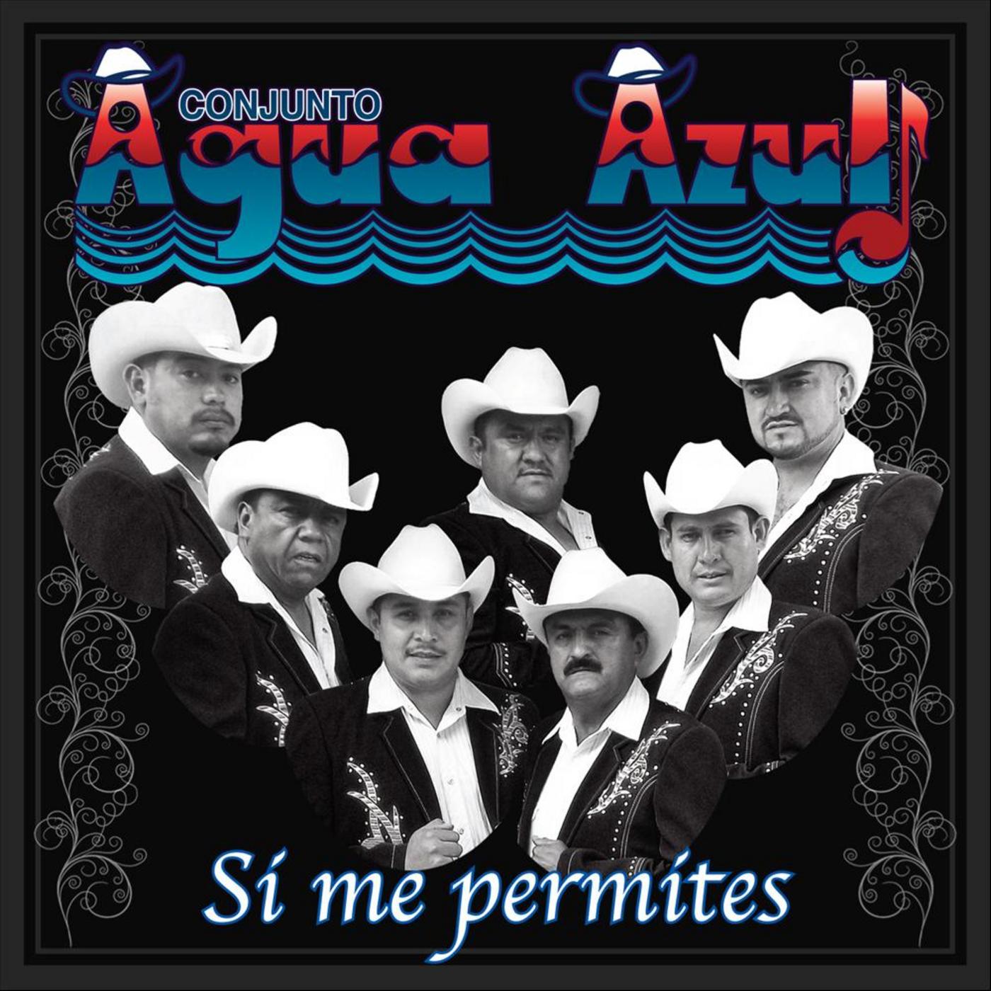 Si Me Permites