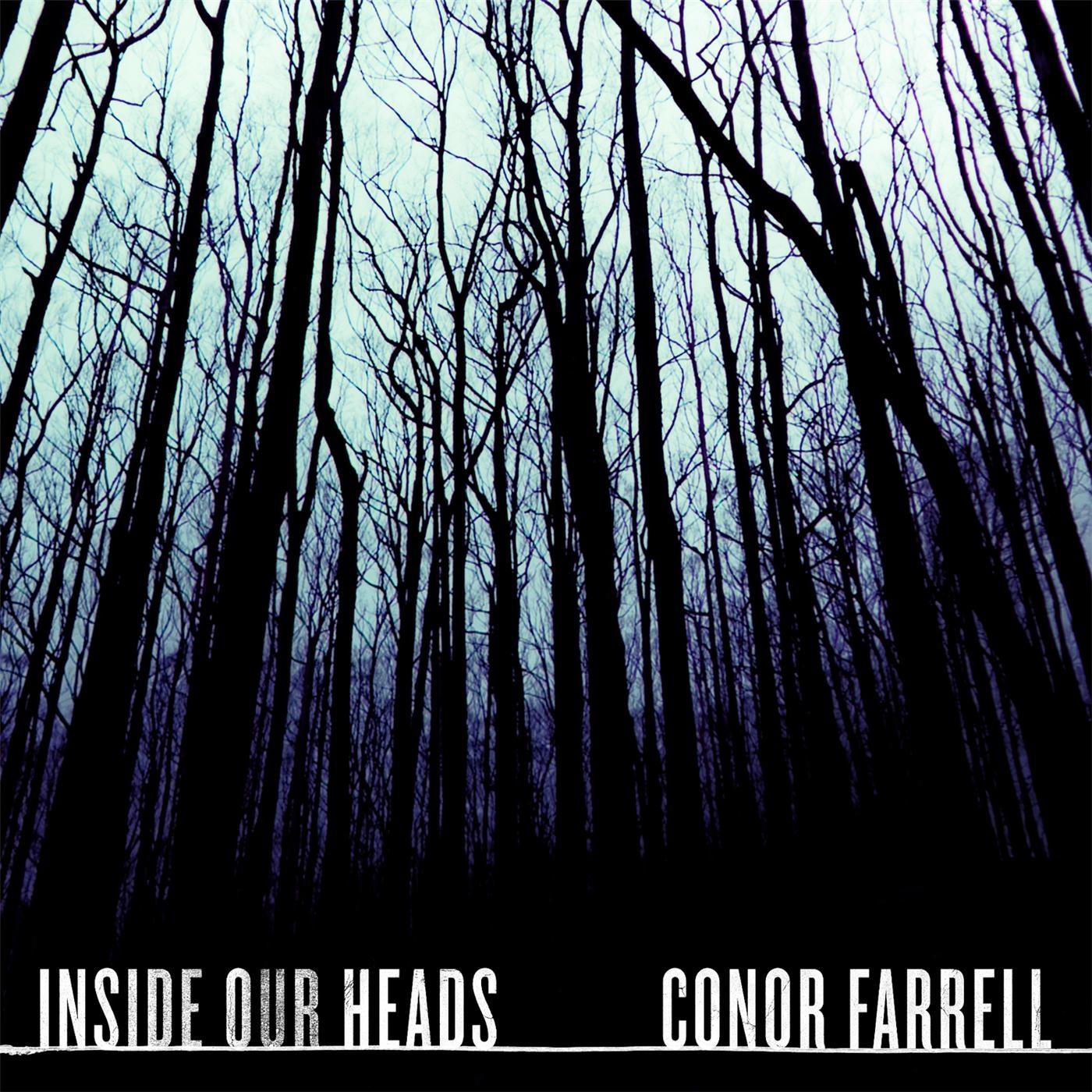 Inside Our Heads