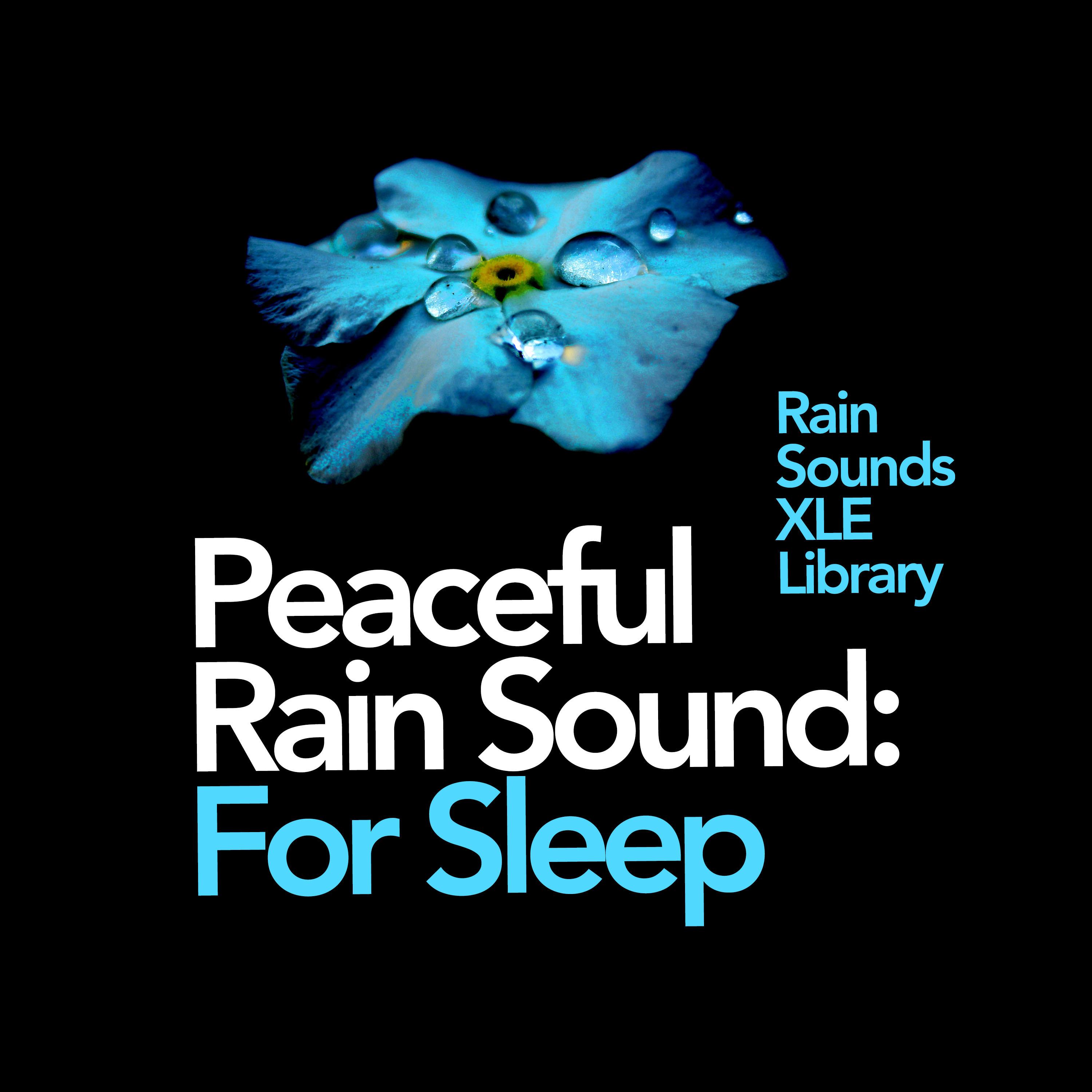 Peaceful Rain Sound: For Sleep