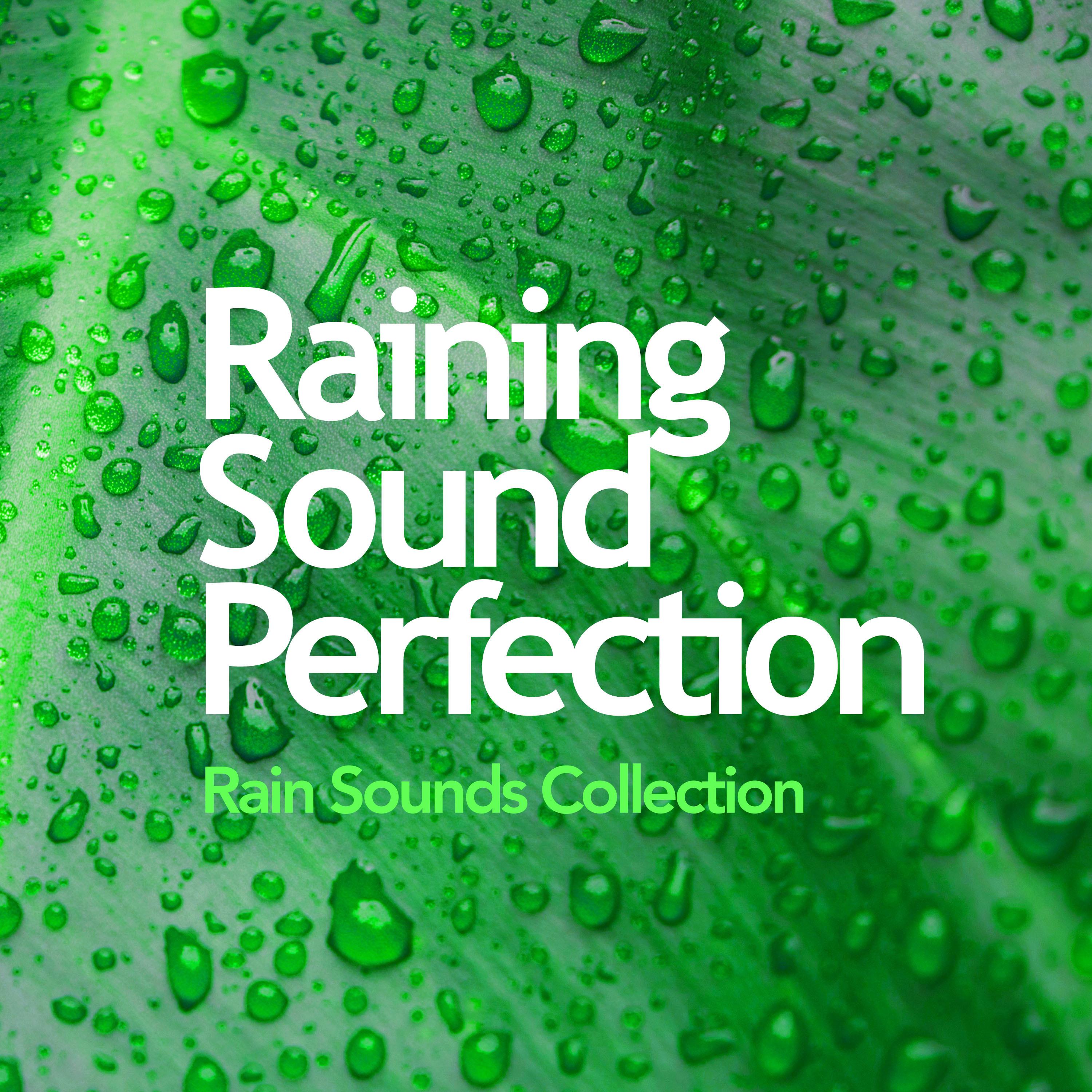 Raining Sound Perfection