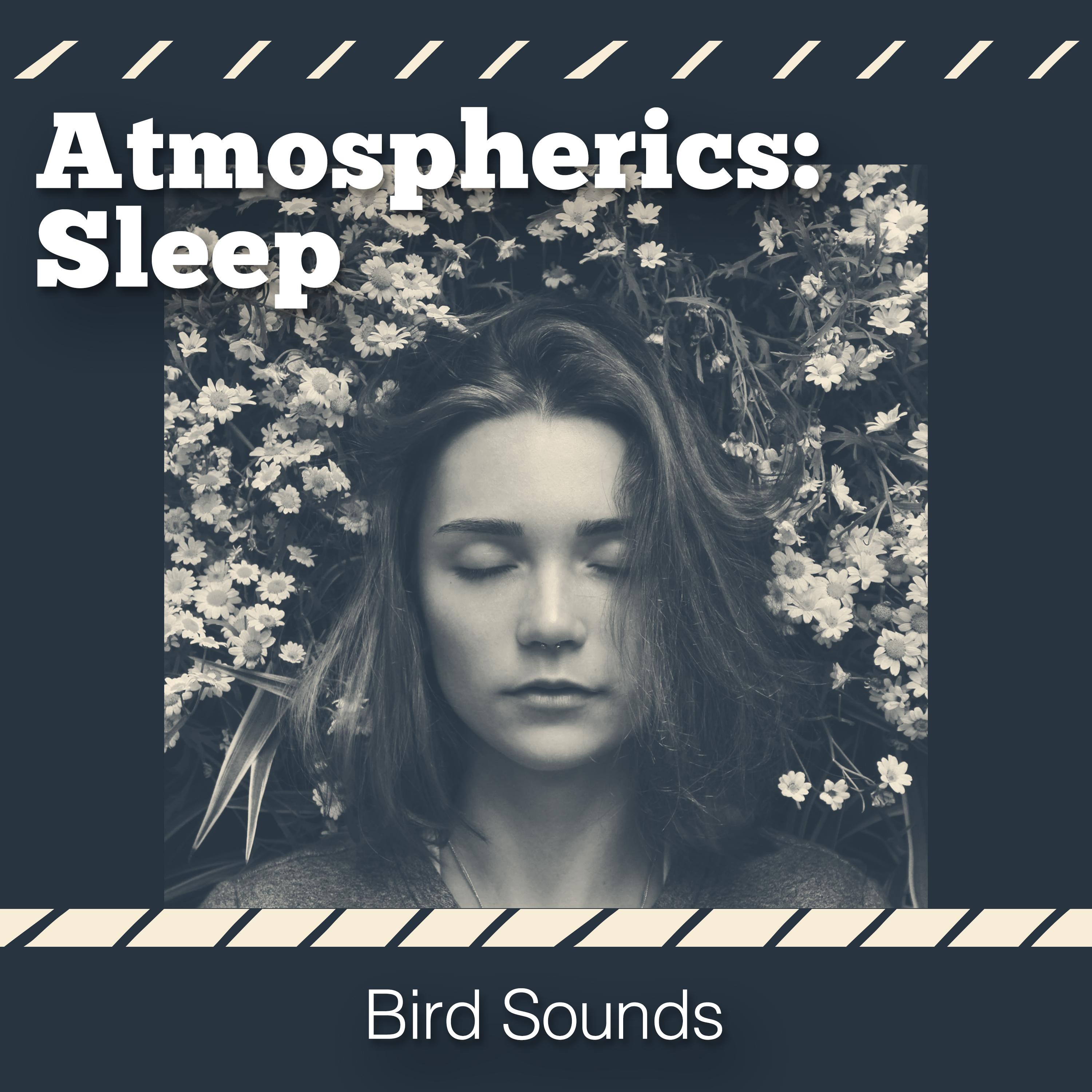 Atmospherics: Sleep