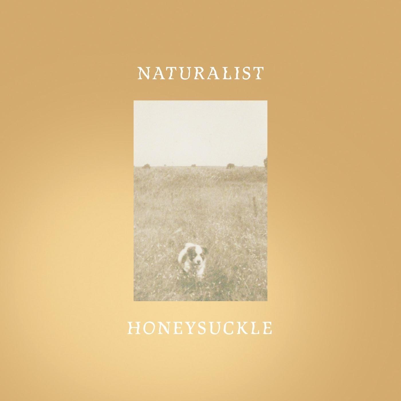 Honeysuckle