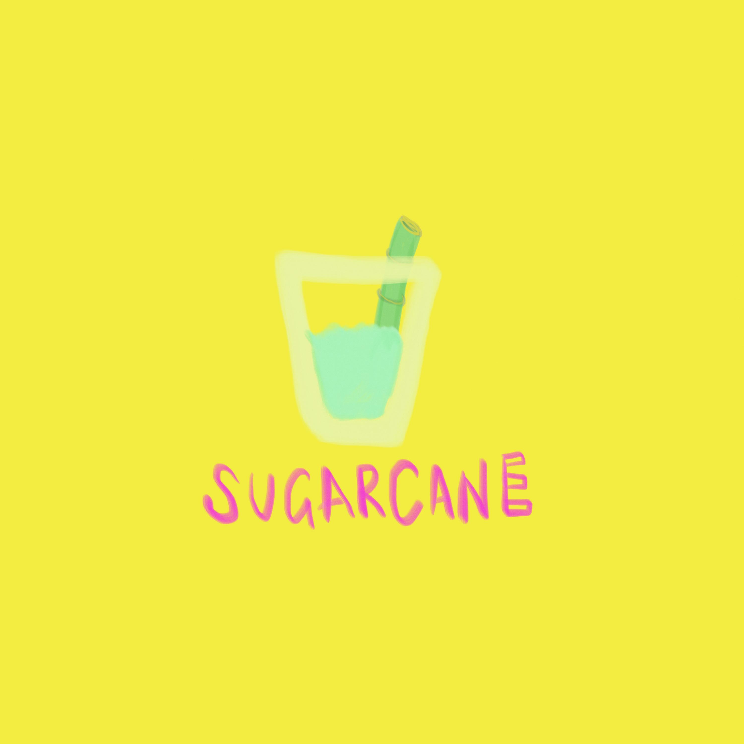 Sugarcane