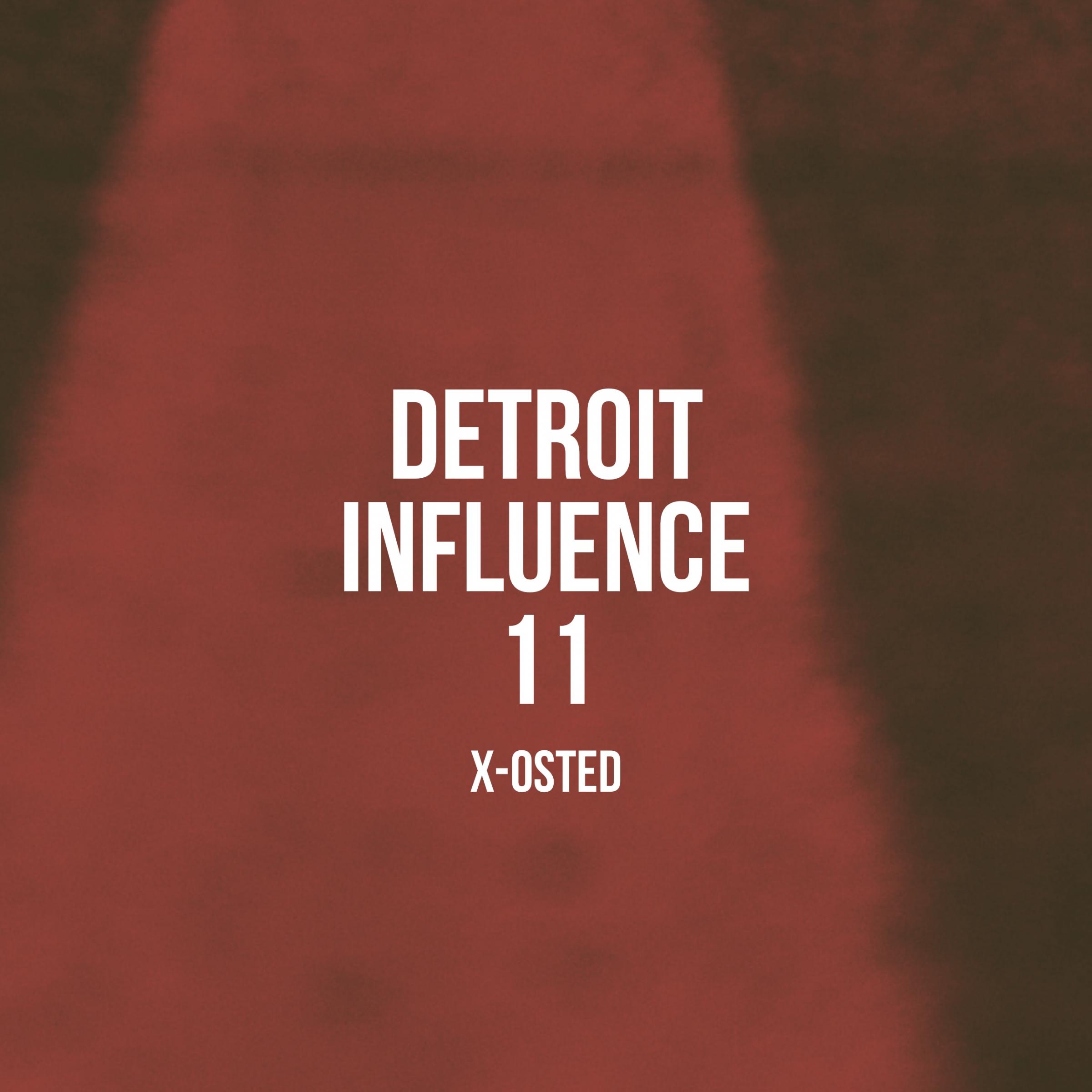 Detroit Influence 11