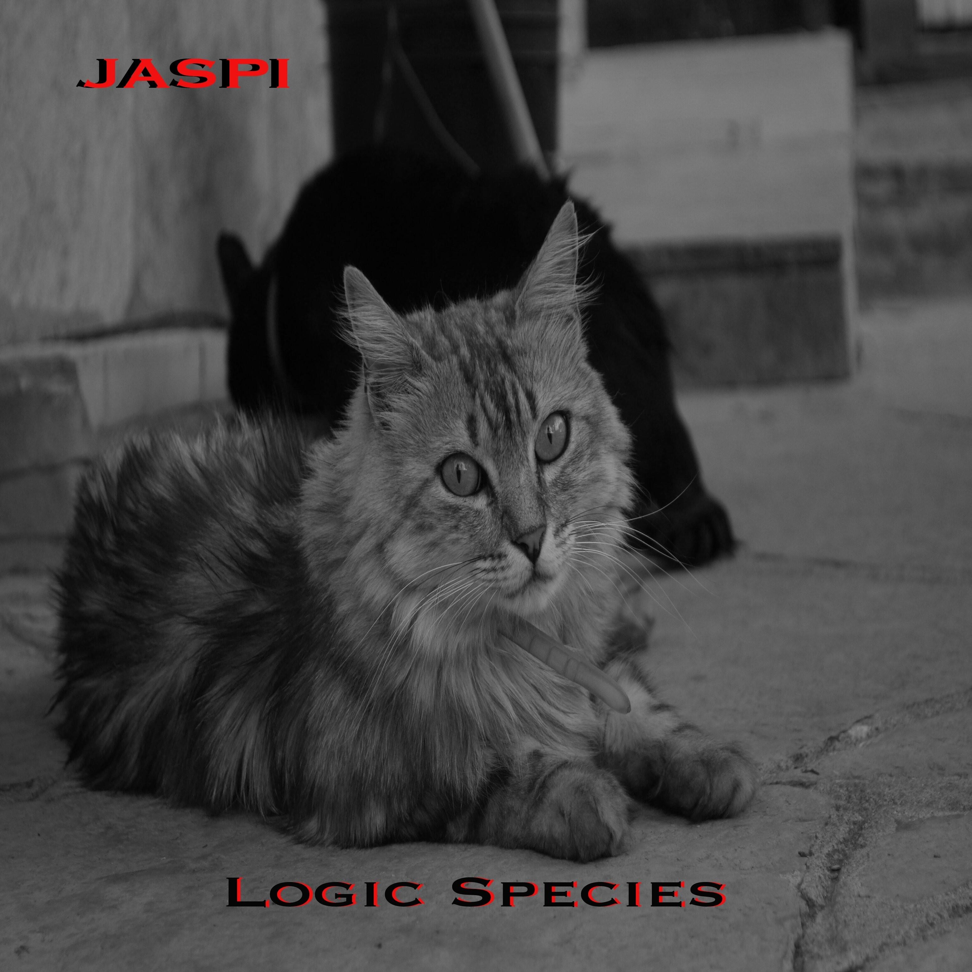 Jaspi