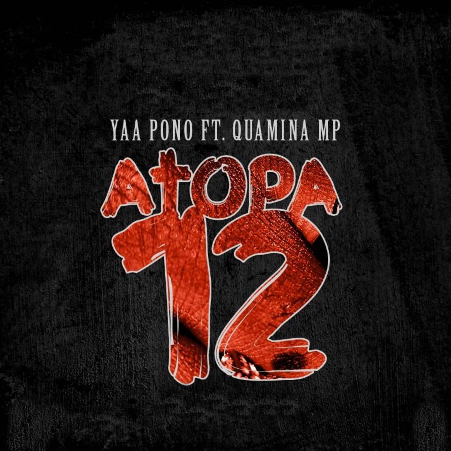 Atopa 12