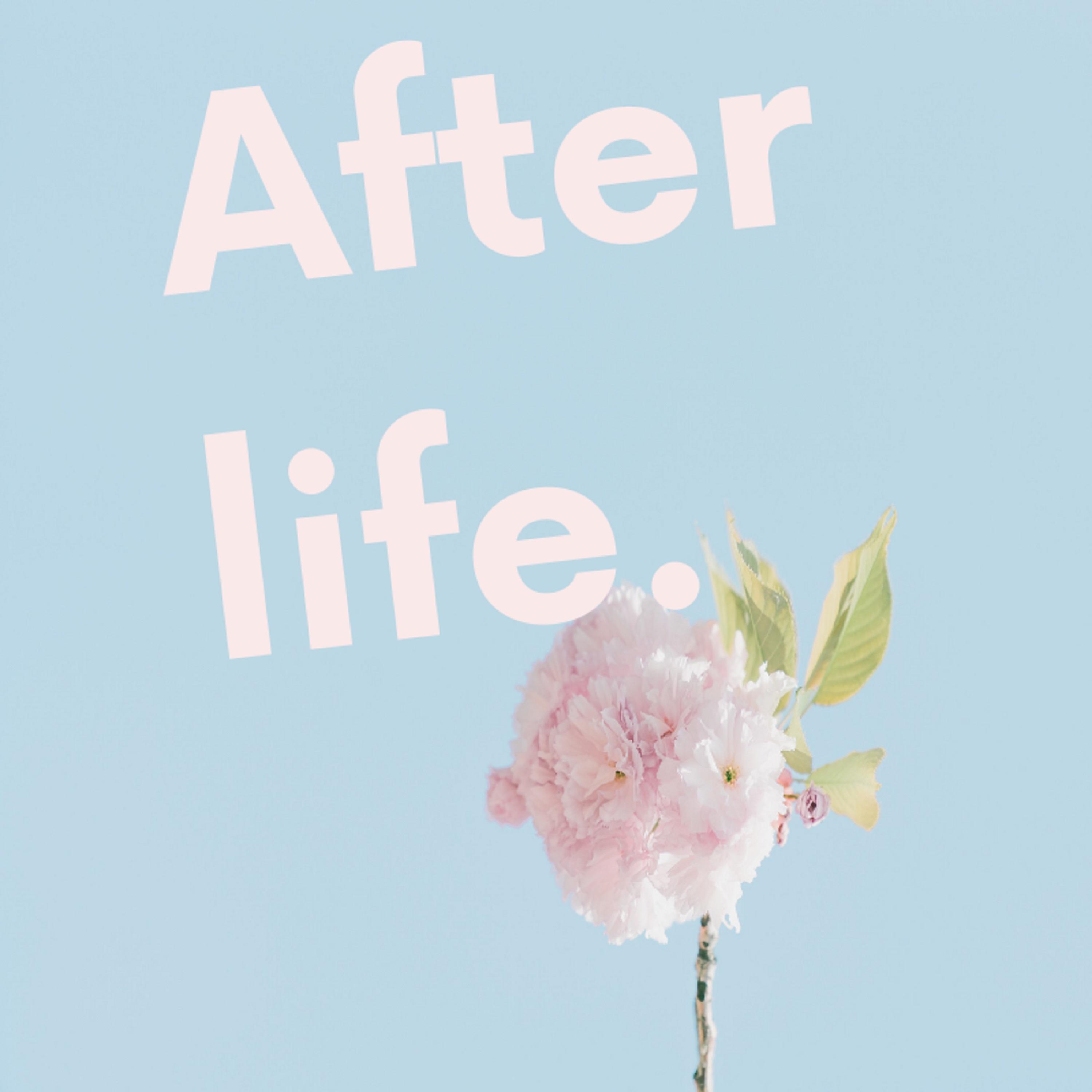 Afterlife