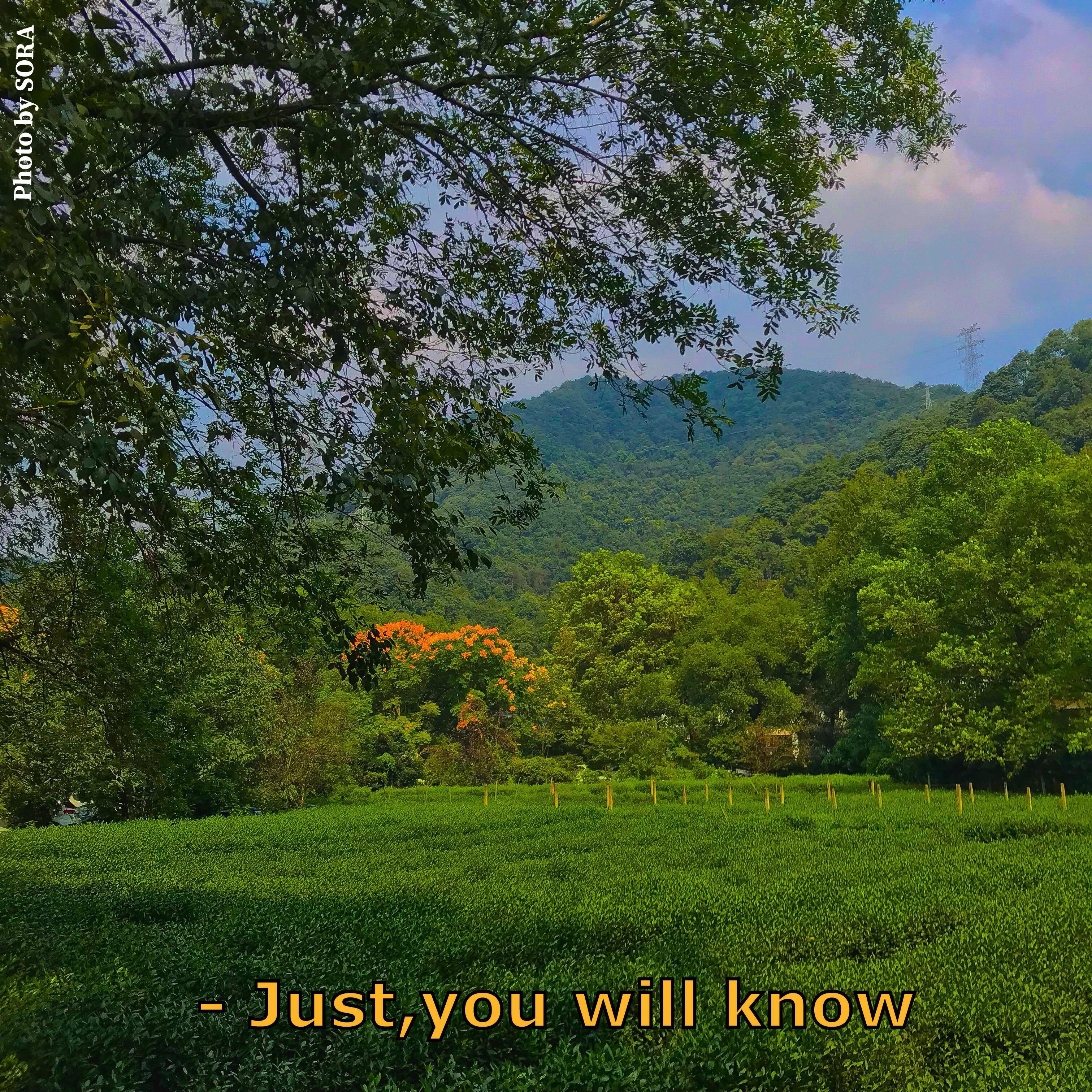 U will know