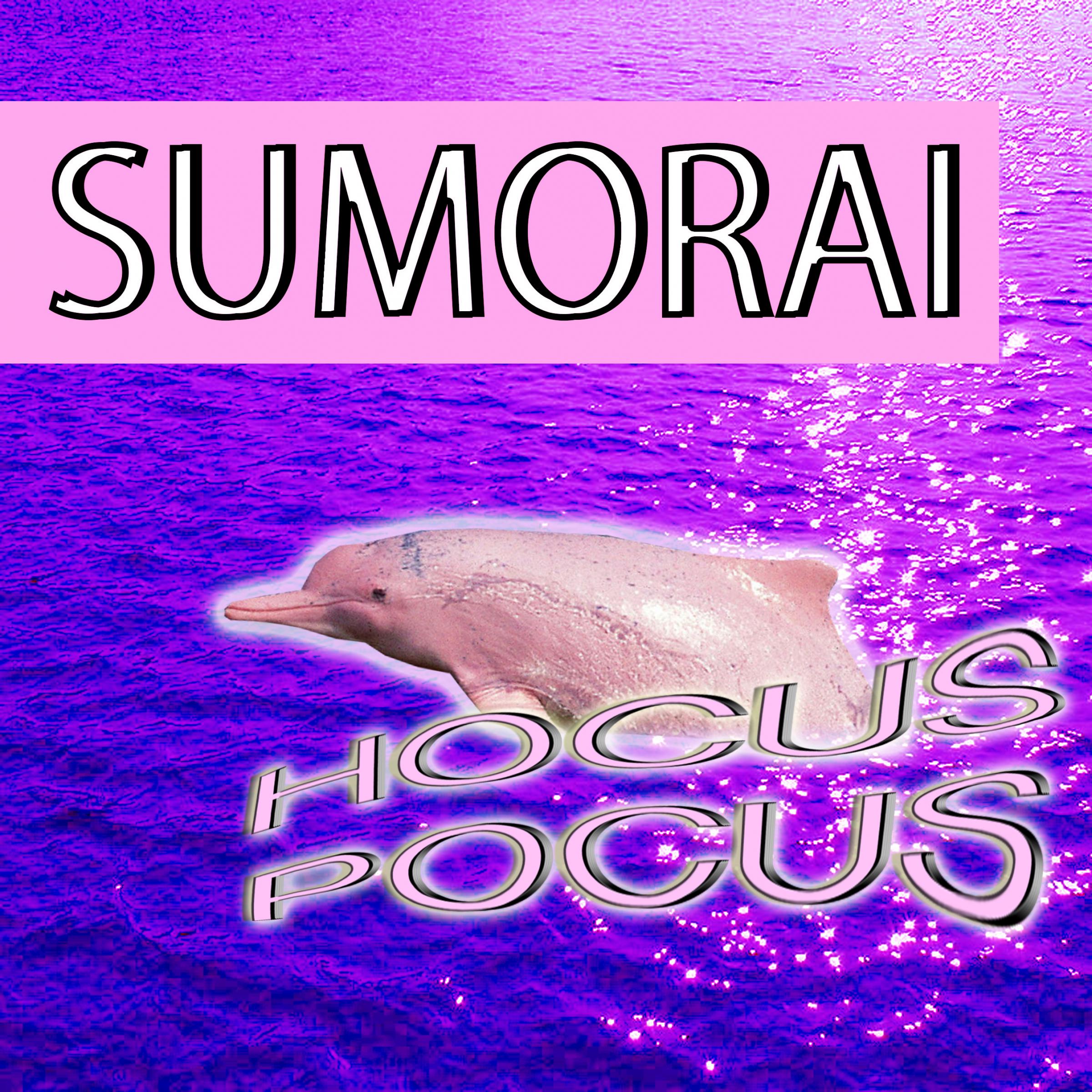 Hocus Focus