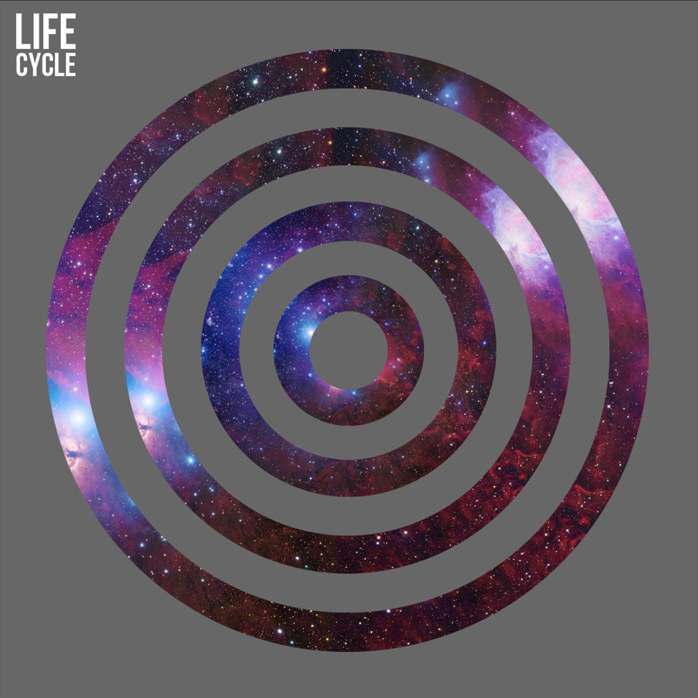 Life Cycle