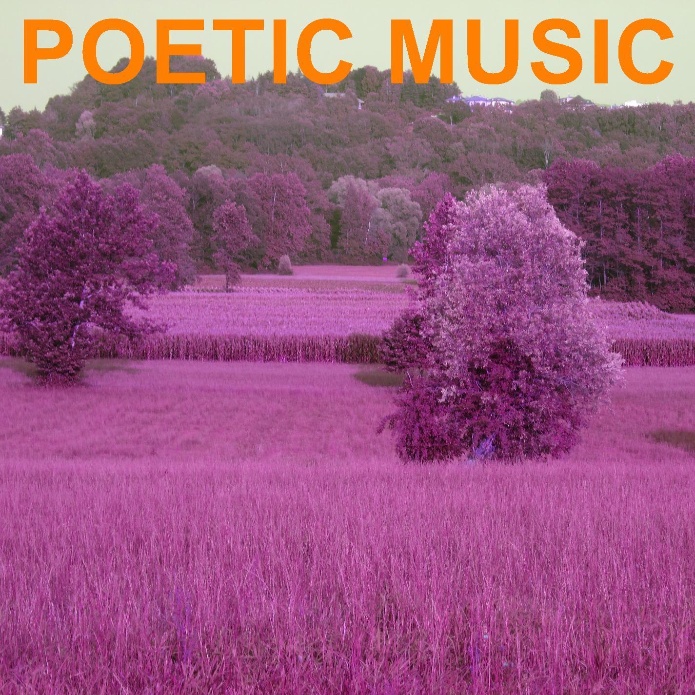 Poetic Music