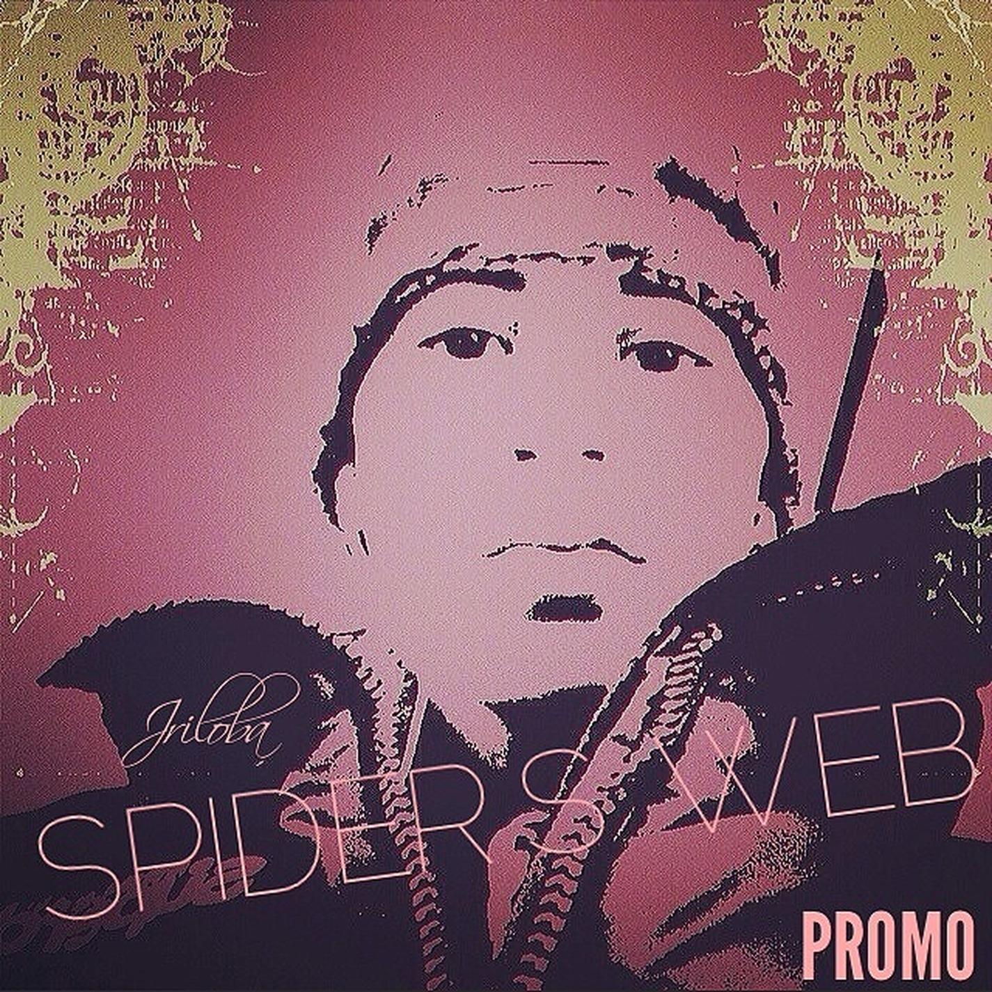 Spider's Web