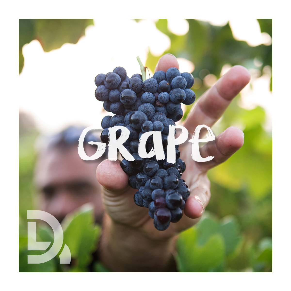 Grape