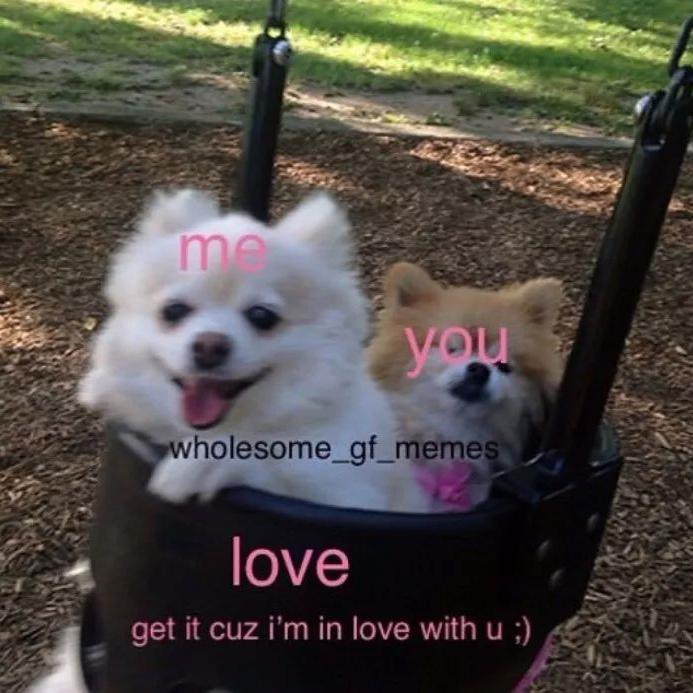 FOR ONE LOVE