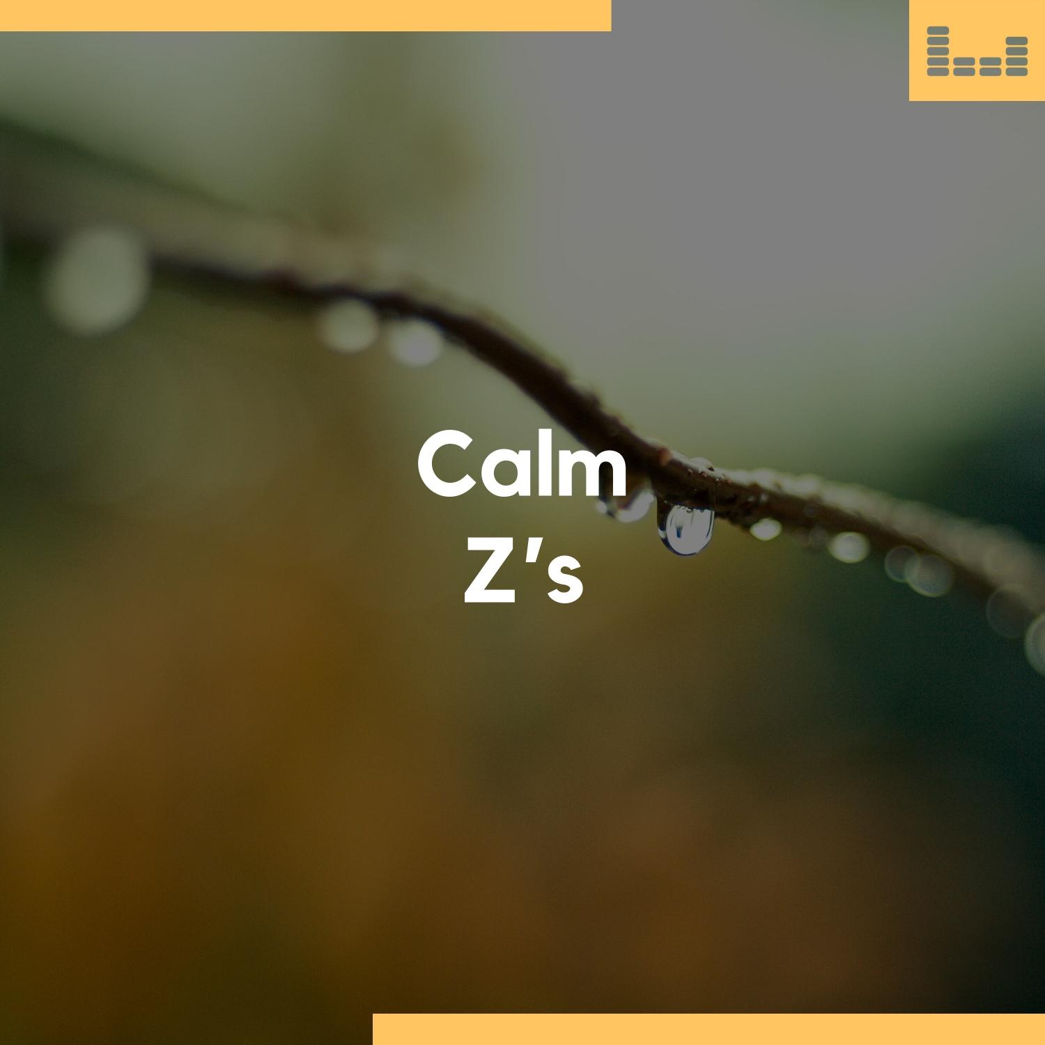 Calm Z's