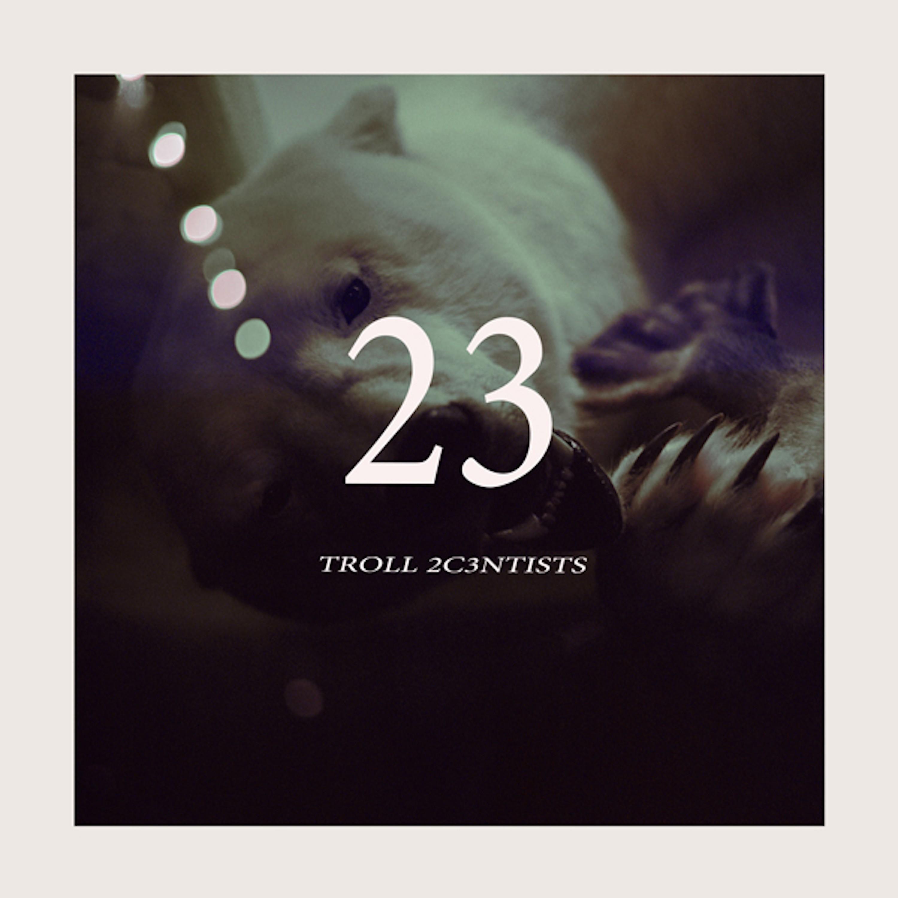 23