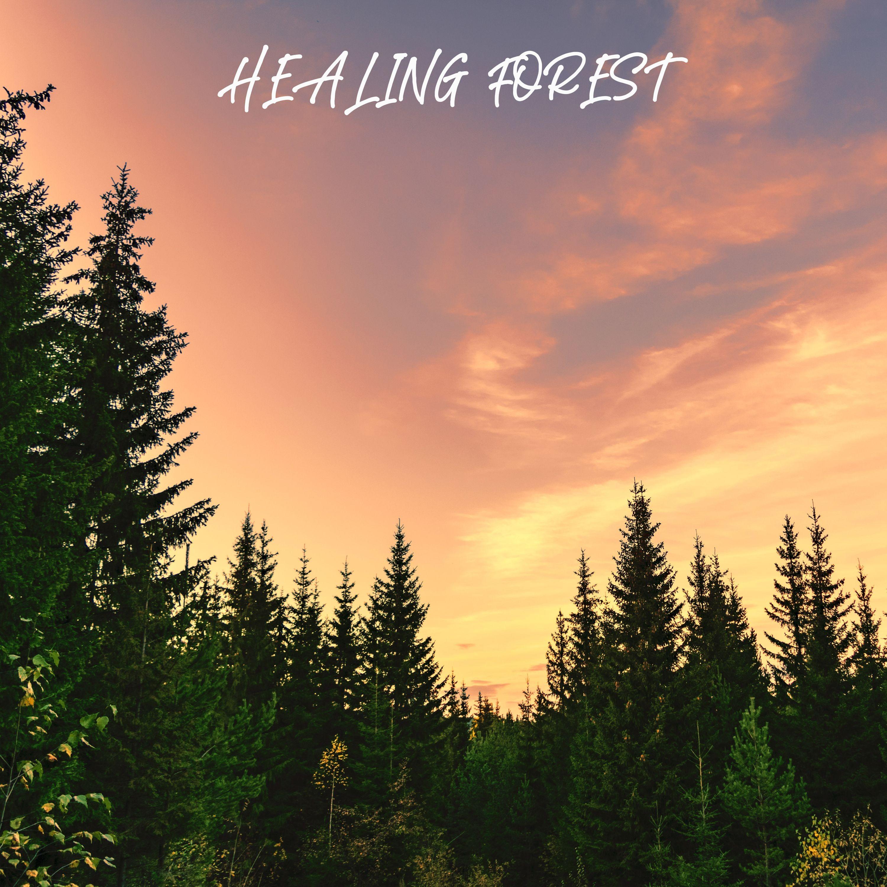 Healing Forest