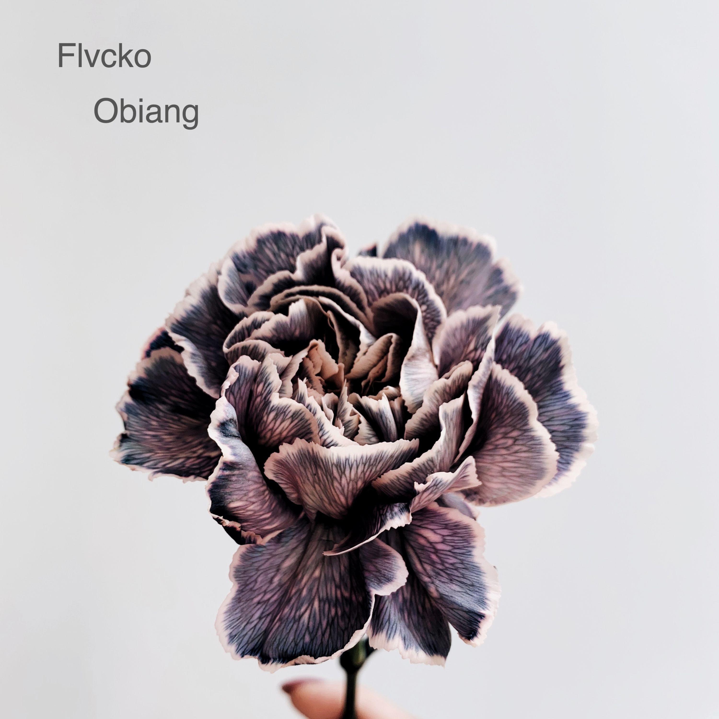 Flvcko