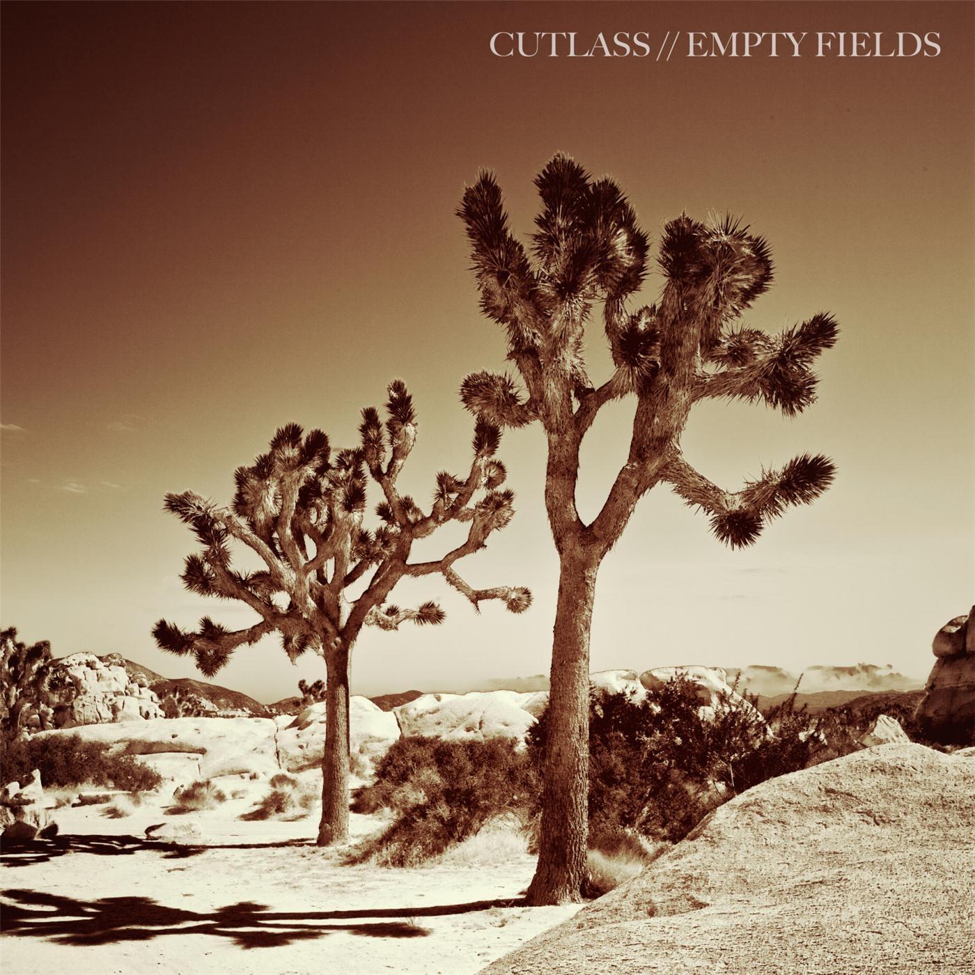 Empty Fields
