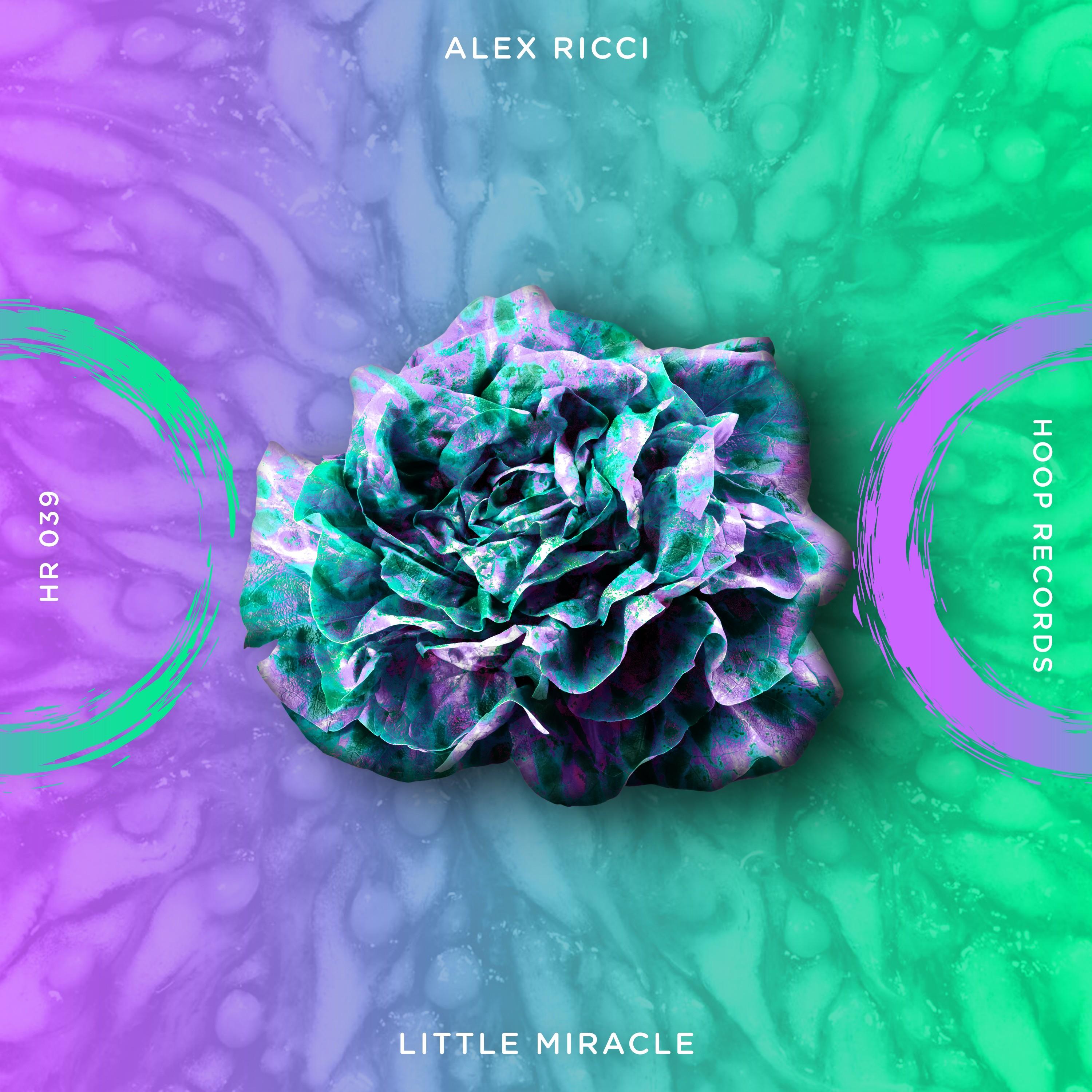 Little Miracle