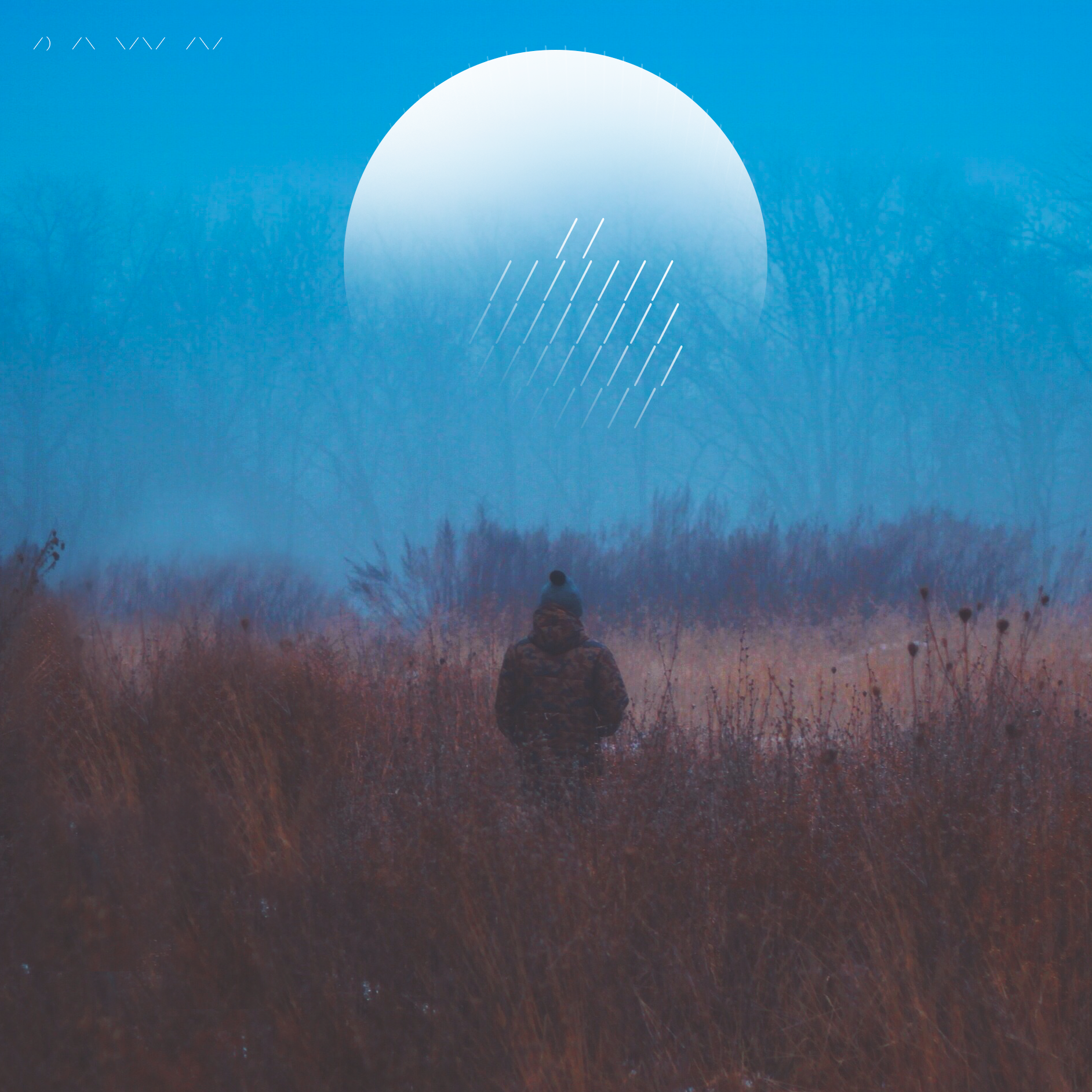 Dawn