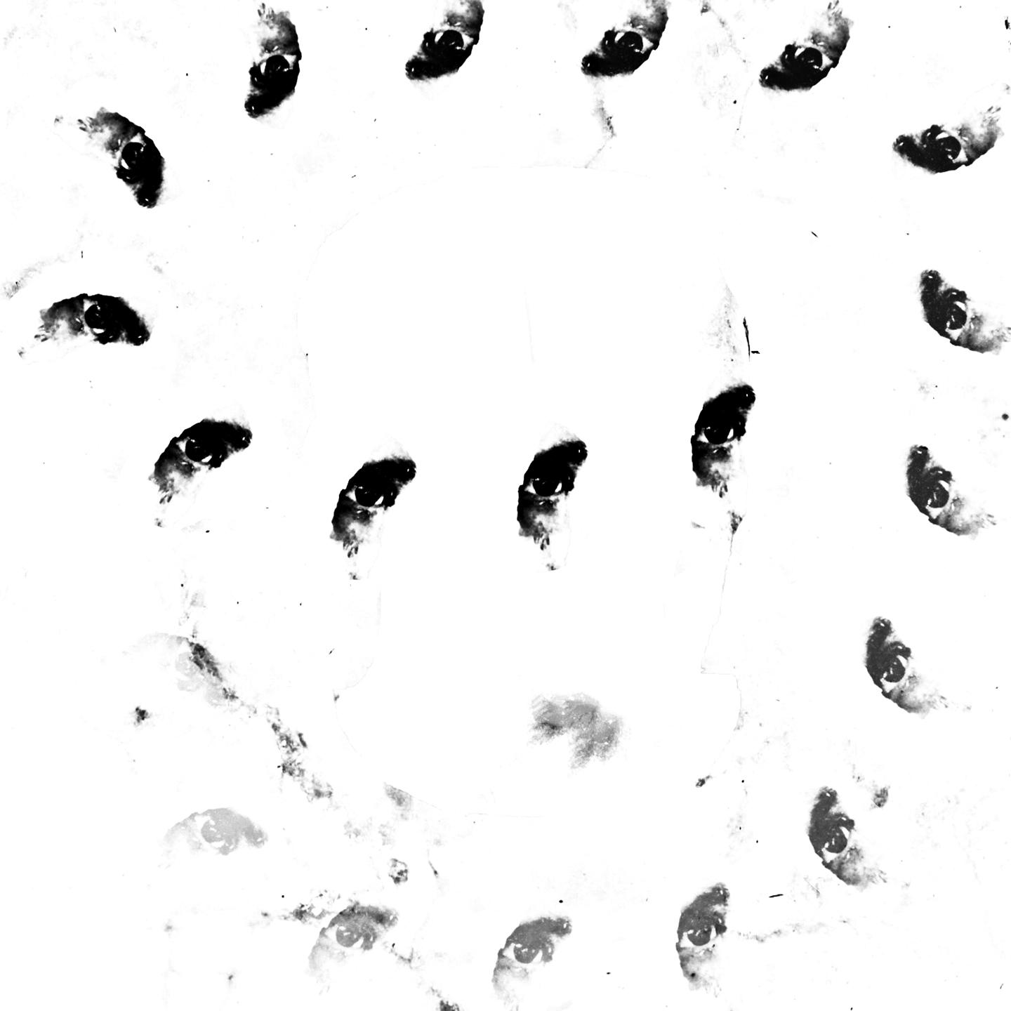 Dots