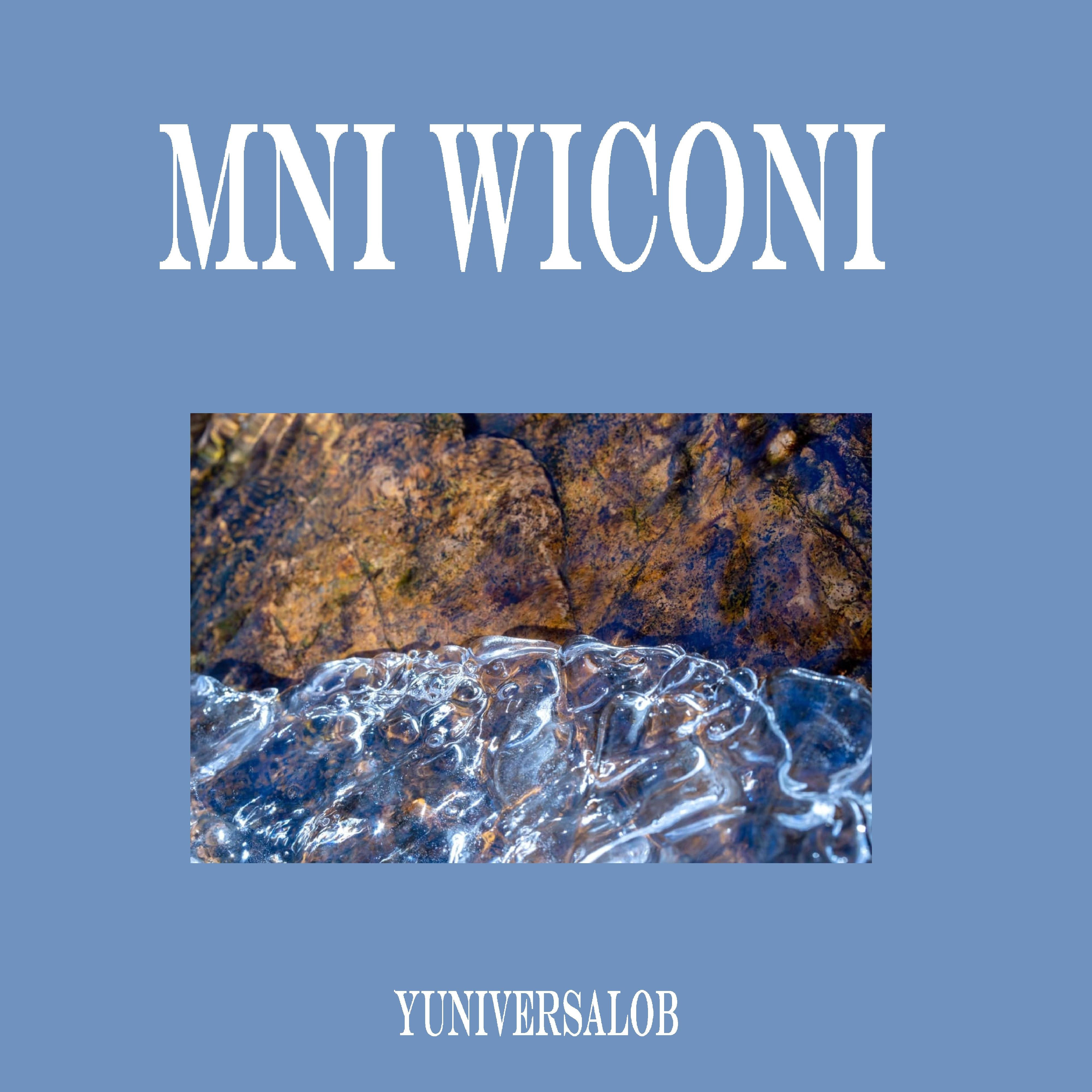 Mini Wichoni
