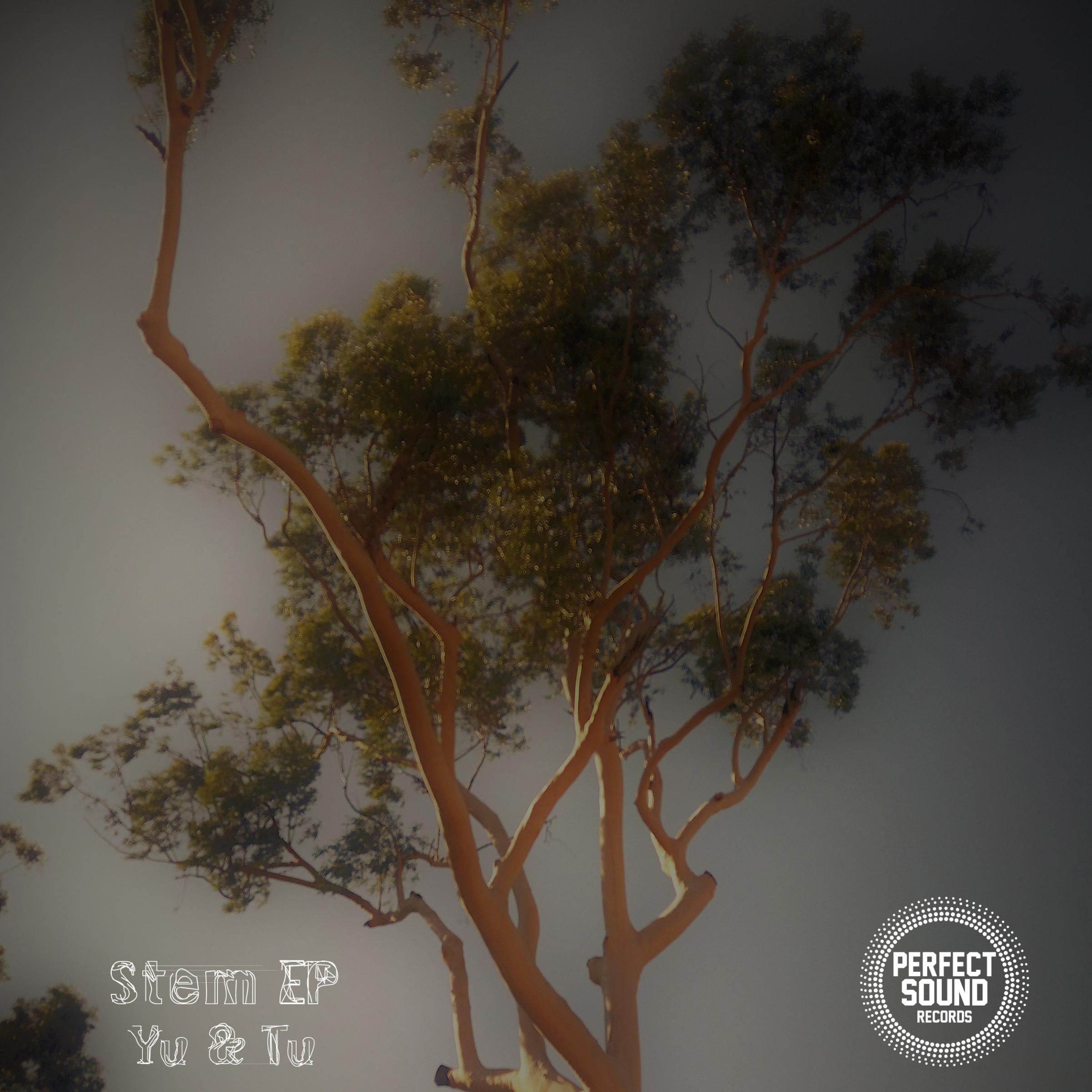 Stem