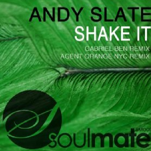 shake it (agent orange nyc remix)