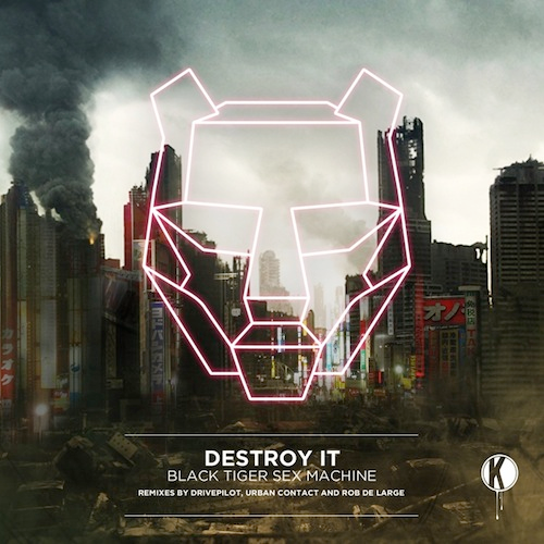 Destroy It (Rob De Large remix)
