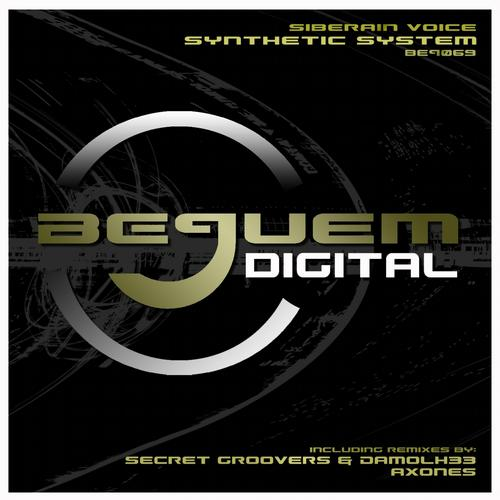 Synthetic System (Secret Groovers & Damolh33 Remix)