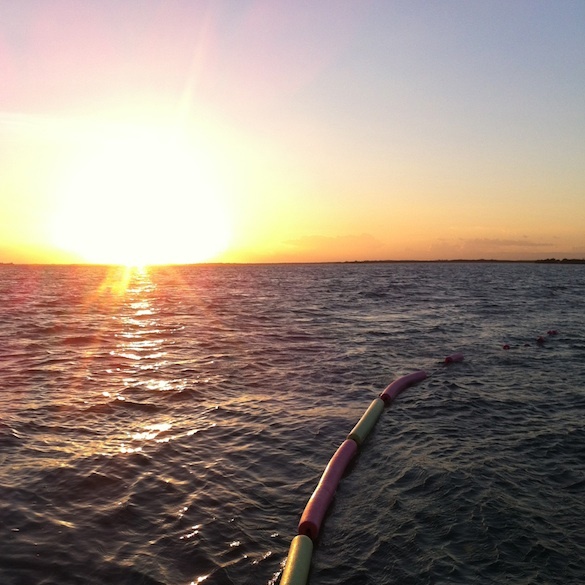 Placencia Bay